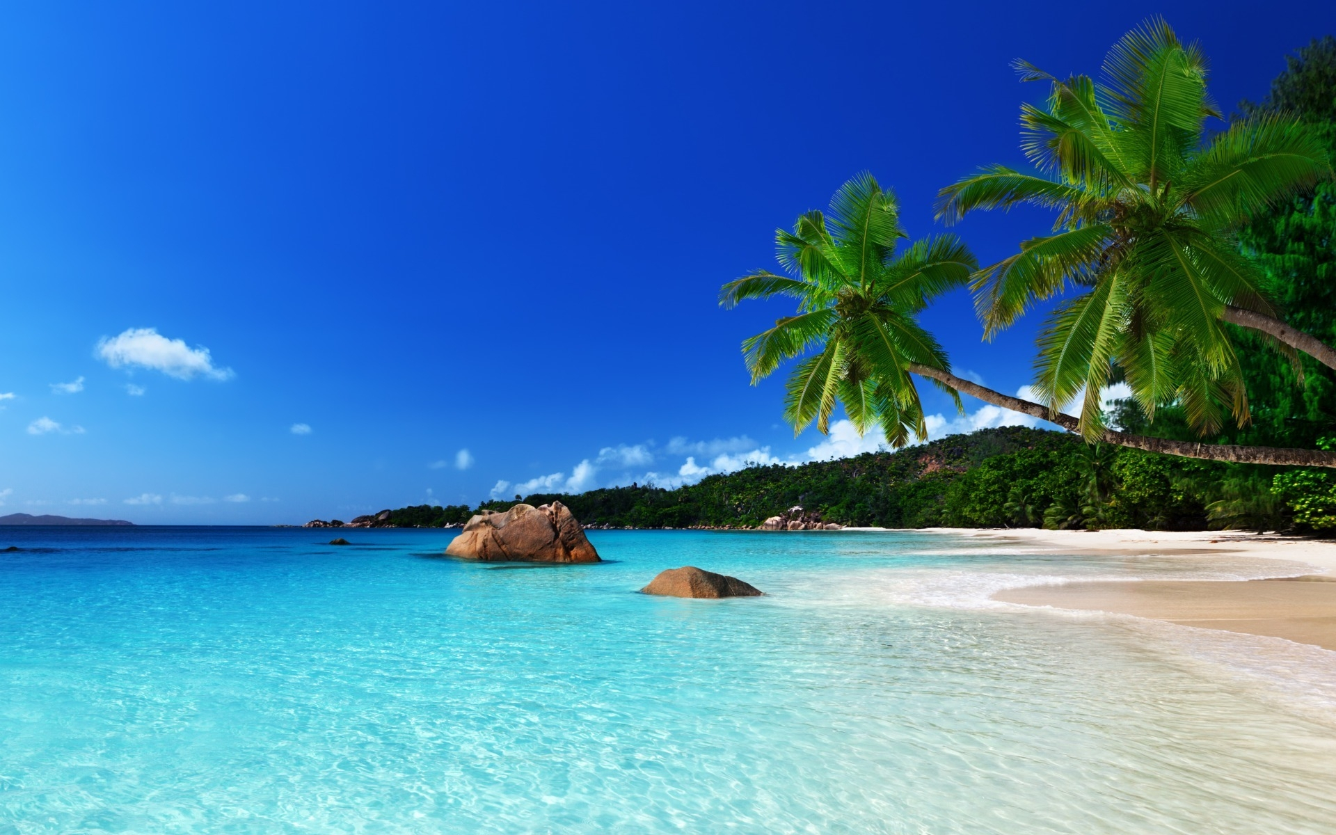 1920x1200 140+ Tropical HD Wallpapers and Backgrounds