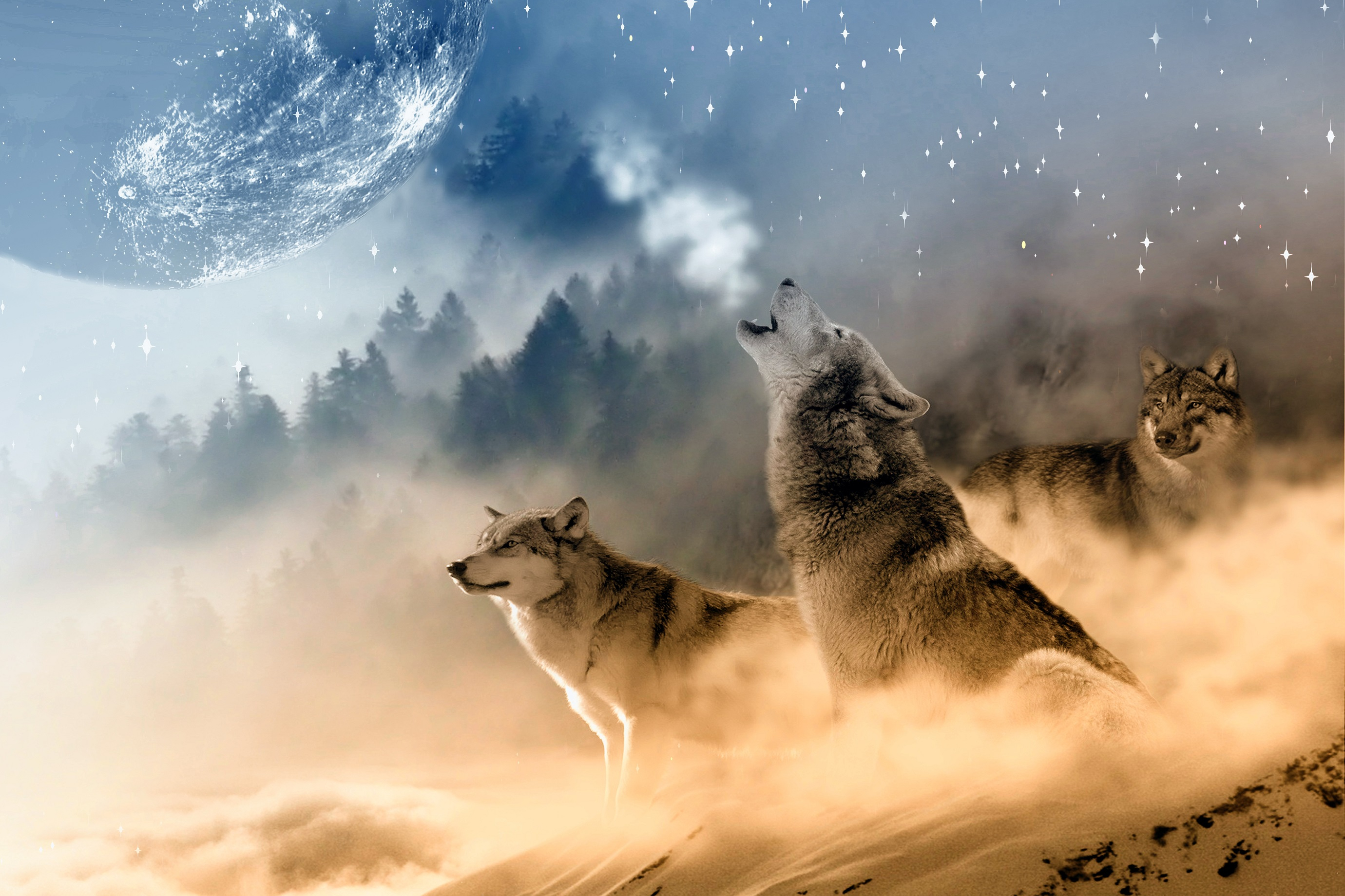 2760x1840 Wolves howling at the moon by InspiredImages