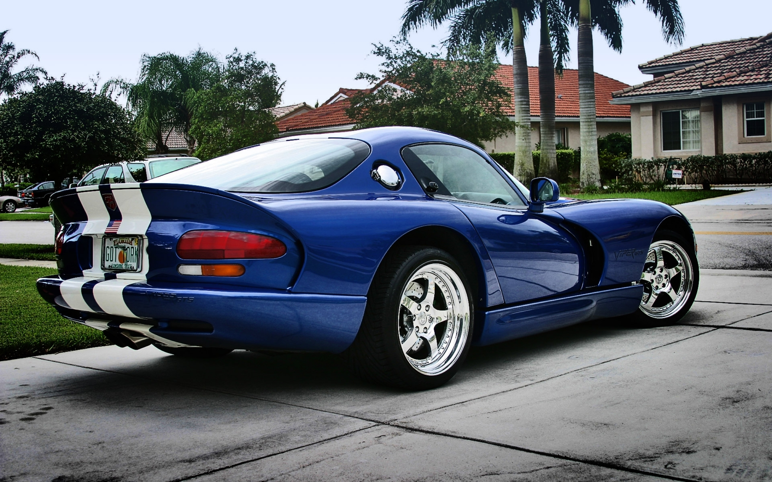 2560x1600 80+ Dodge Viper HD Wallpapers and Backgrounds