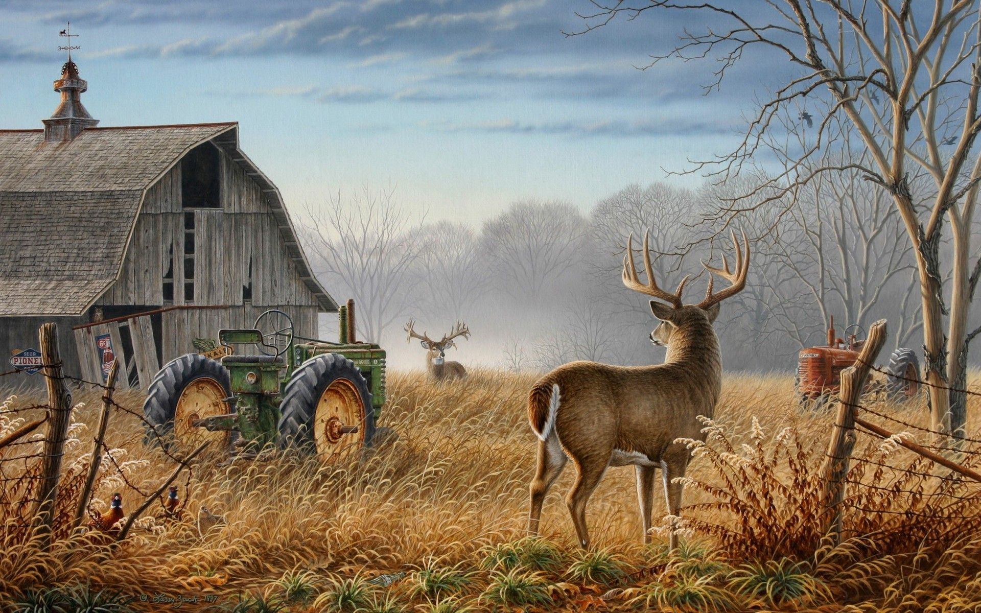 1920x1200 Barn with White Tail Deer Wallpaper #35982 | Deer wallpaper, Wildlife art, Whitetail deer