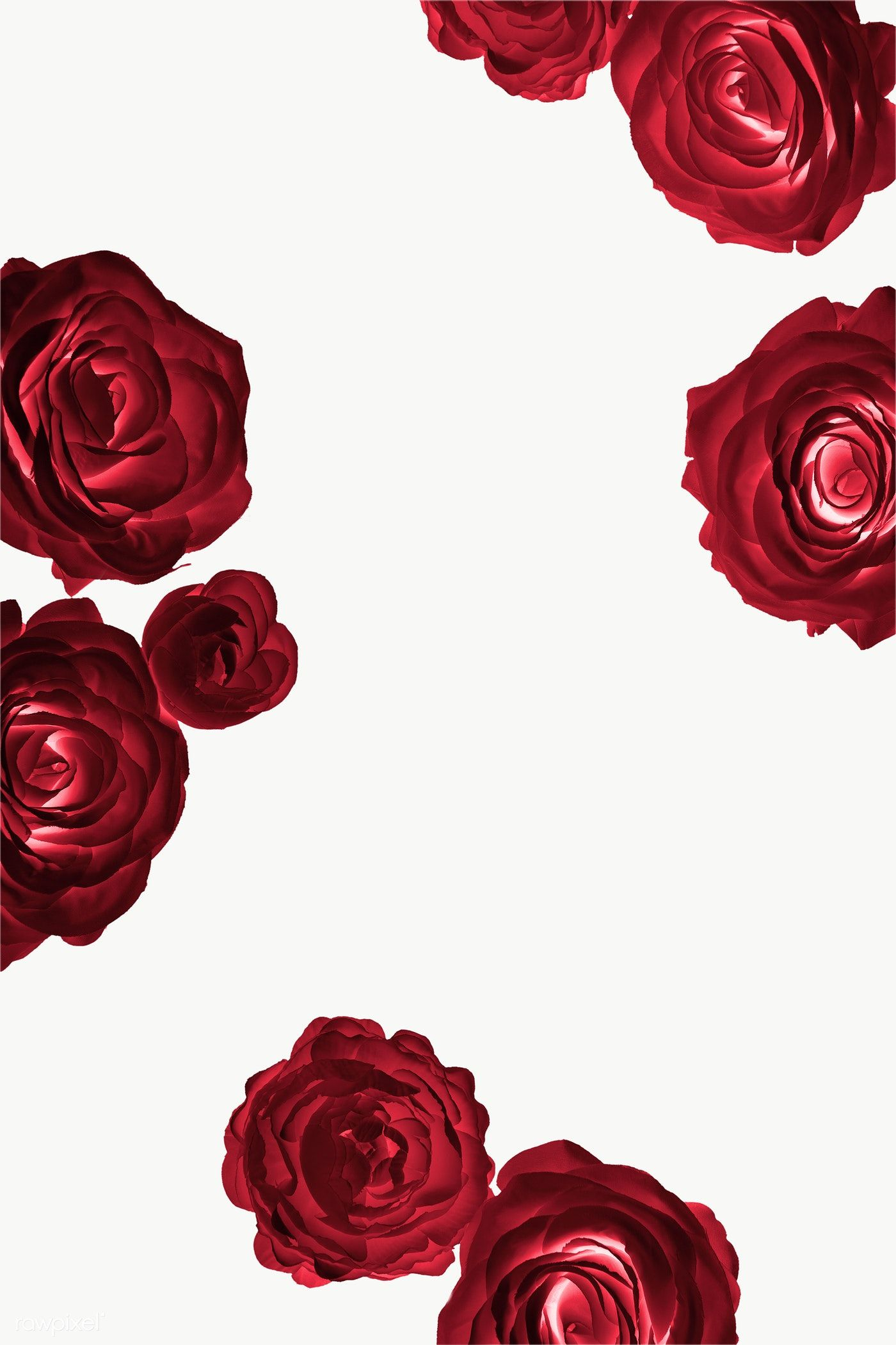 1400x2101 Red rose pattern transparent png | premium image by / nam | Red roses wallpaper, Gold wallpaper background, Red flowers