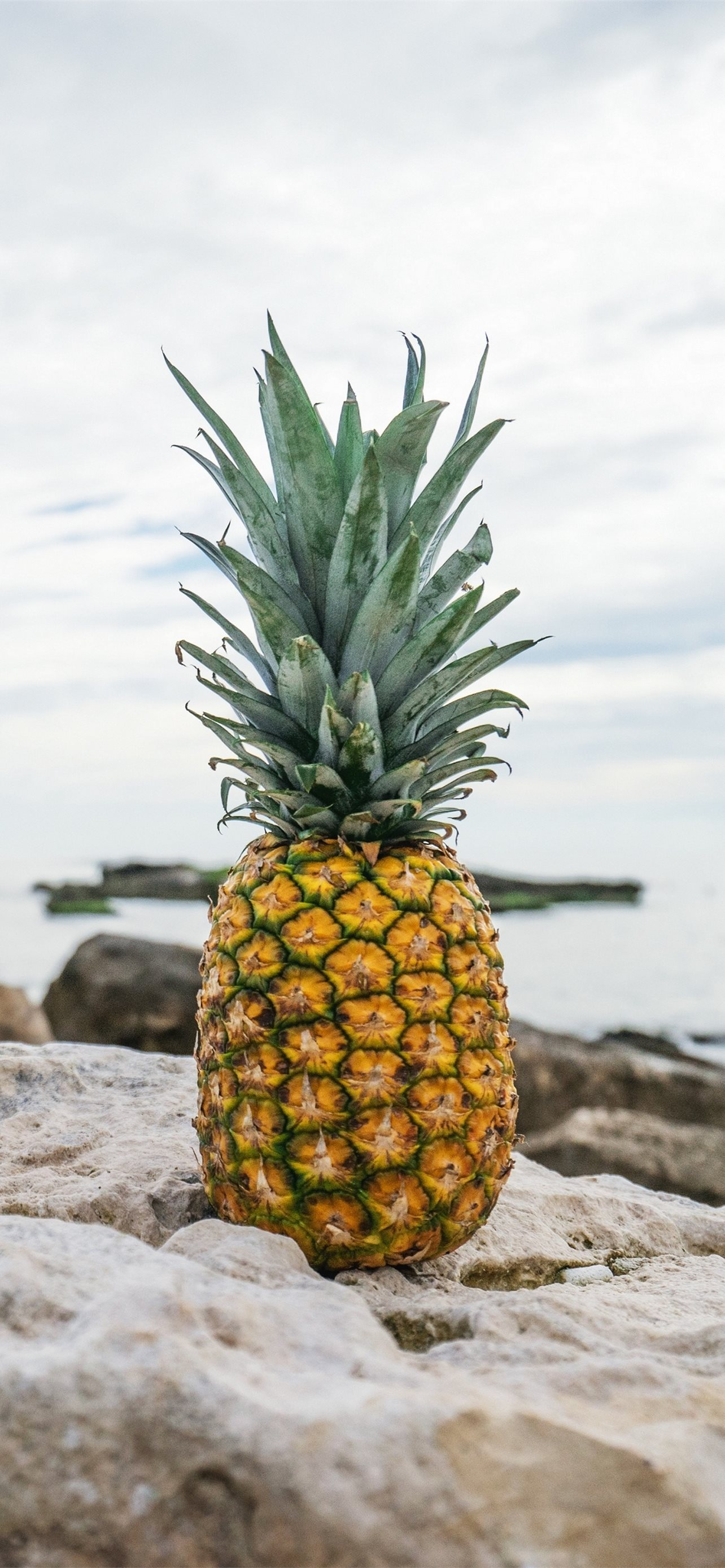 1284x2778 Pineapple Rocks Beach iPhone Wallpapers Free Download