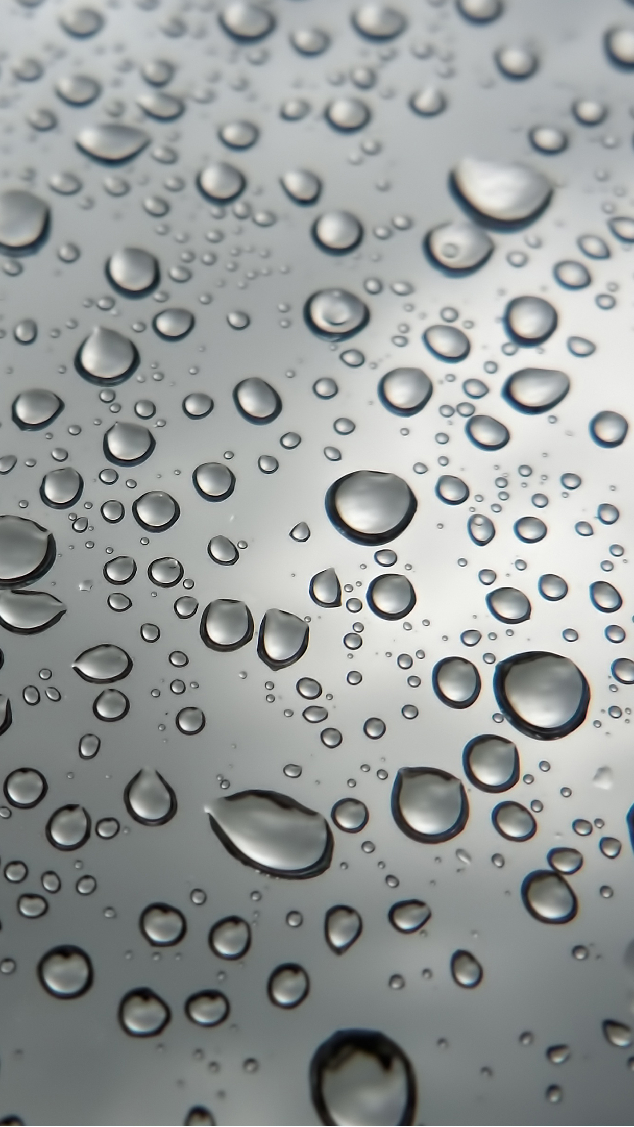 1242x2208 Raindrop Wallpaper for iPhone 11, Pro Max, X, 8, 7, 6 Free Download on 3Wallpapers
