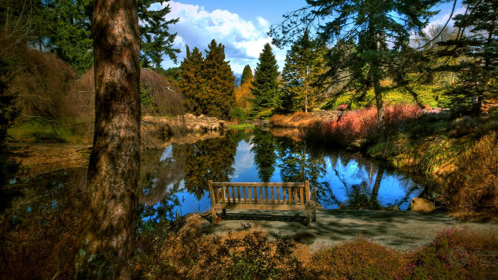 1920x1080 Download Relaxing Forest Bench Scenic Wallpaper