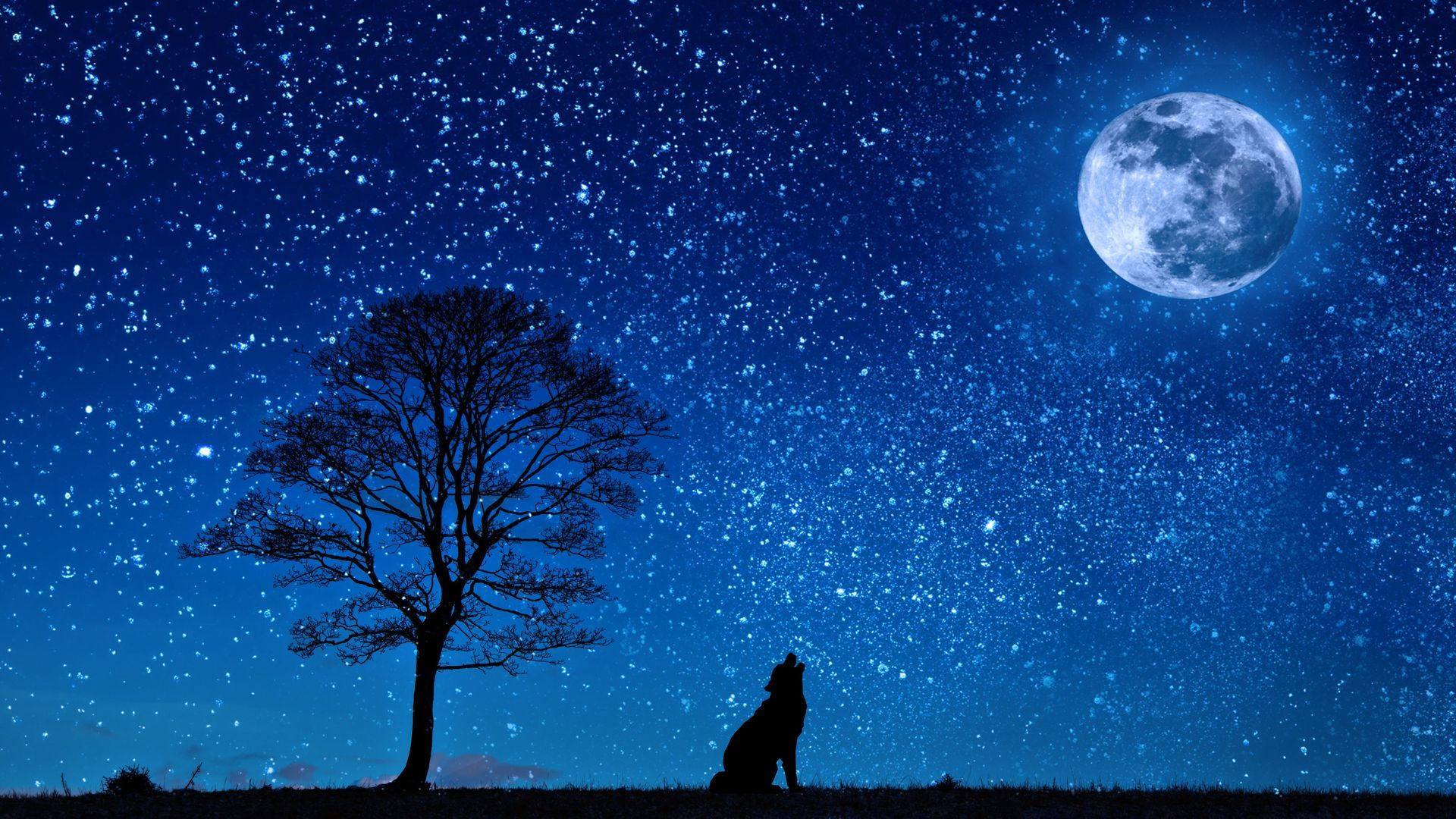 1920x1080 Blue Moon and Star Wallpapers Top Free Blue Moon and Star Backgrounds