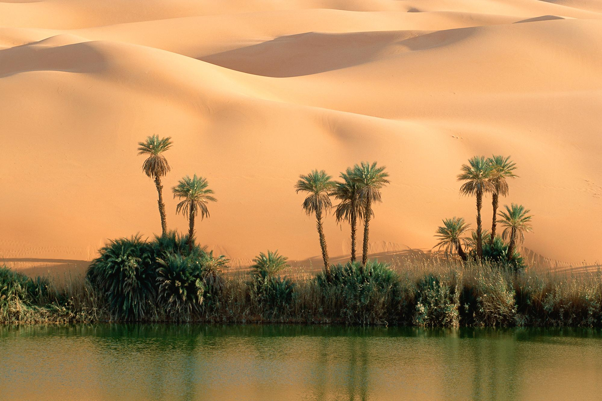 1999x1333 desert, Oasis Wallpapers HD / Desktop and Mobile Backgrounds