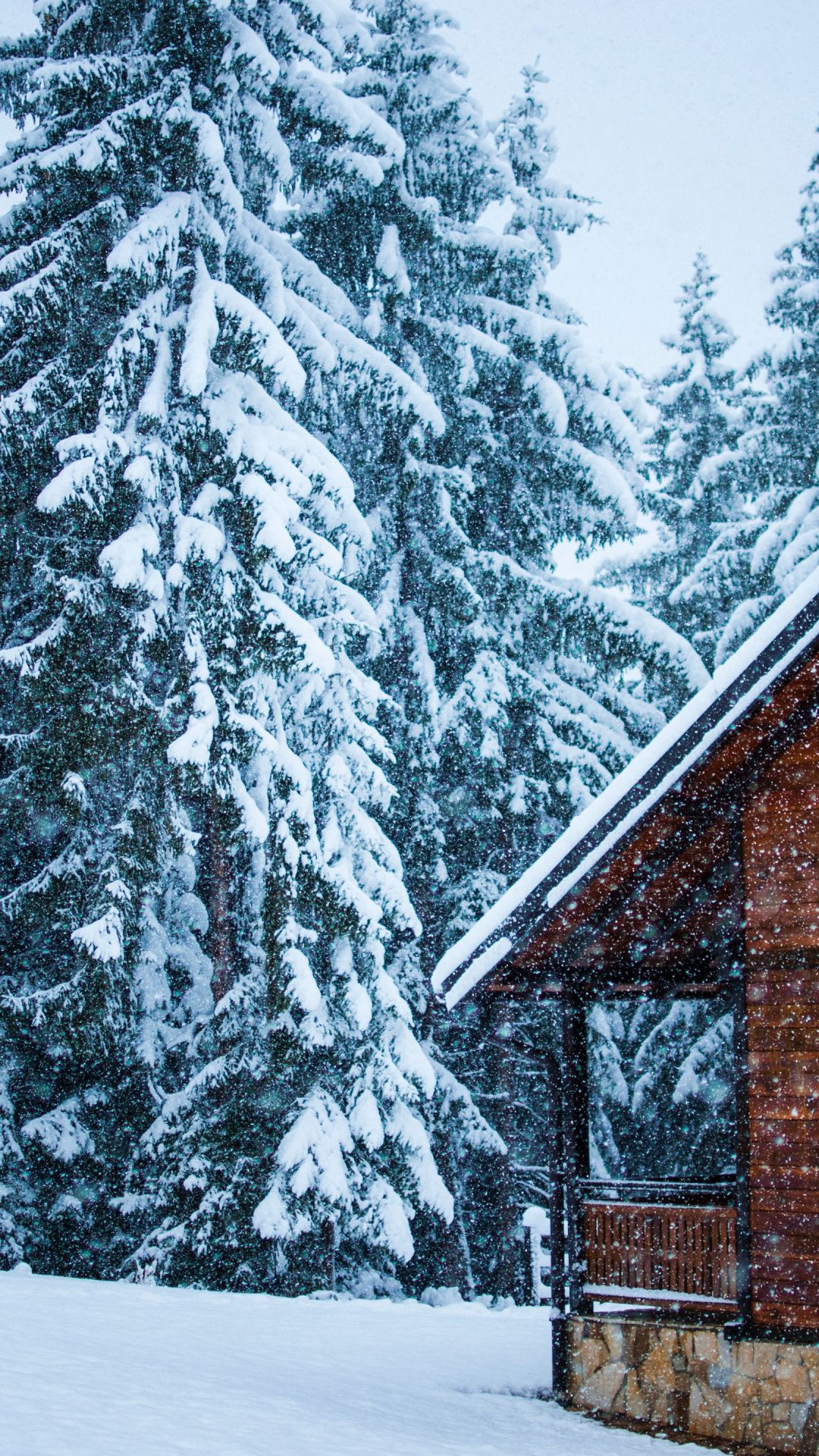 1080x1920 Snowfall, house, tree, snow layer, winter wallpaper | Winter wallpaper, Snowfall, Wallpaper
