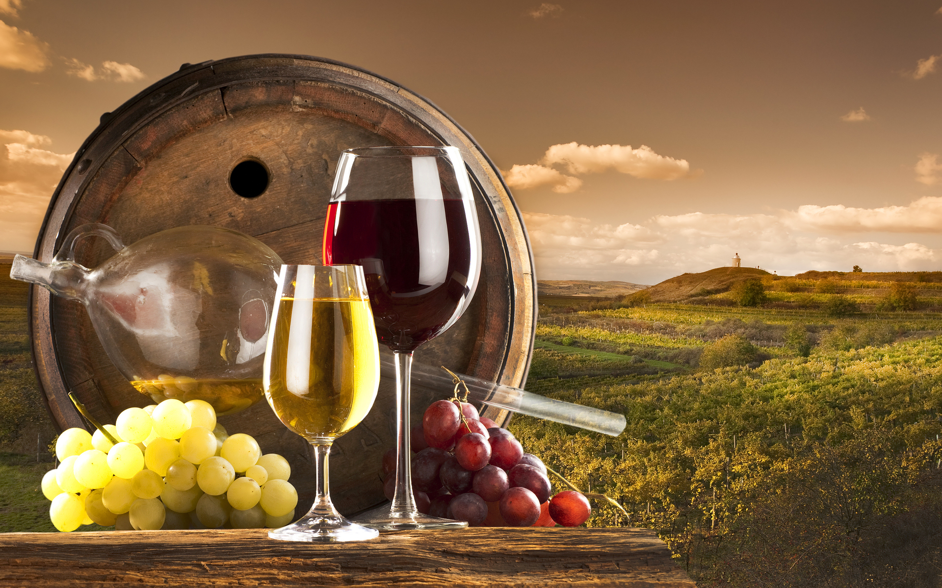 1920x1200 red and white wine with barrel on vineyard by Copyright: JirkaBursik Desktop Wallpaper