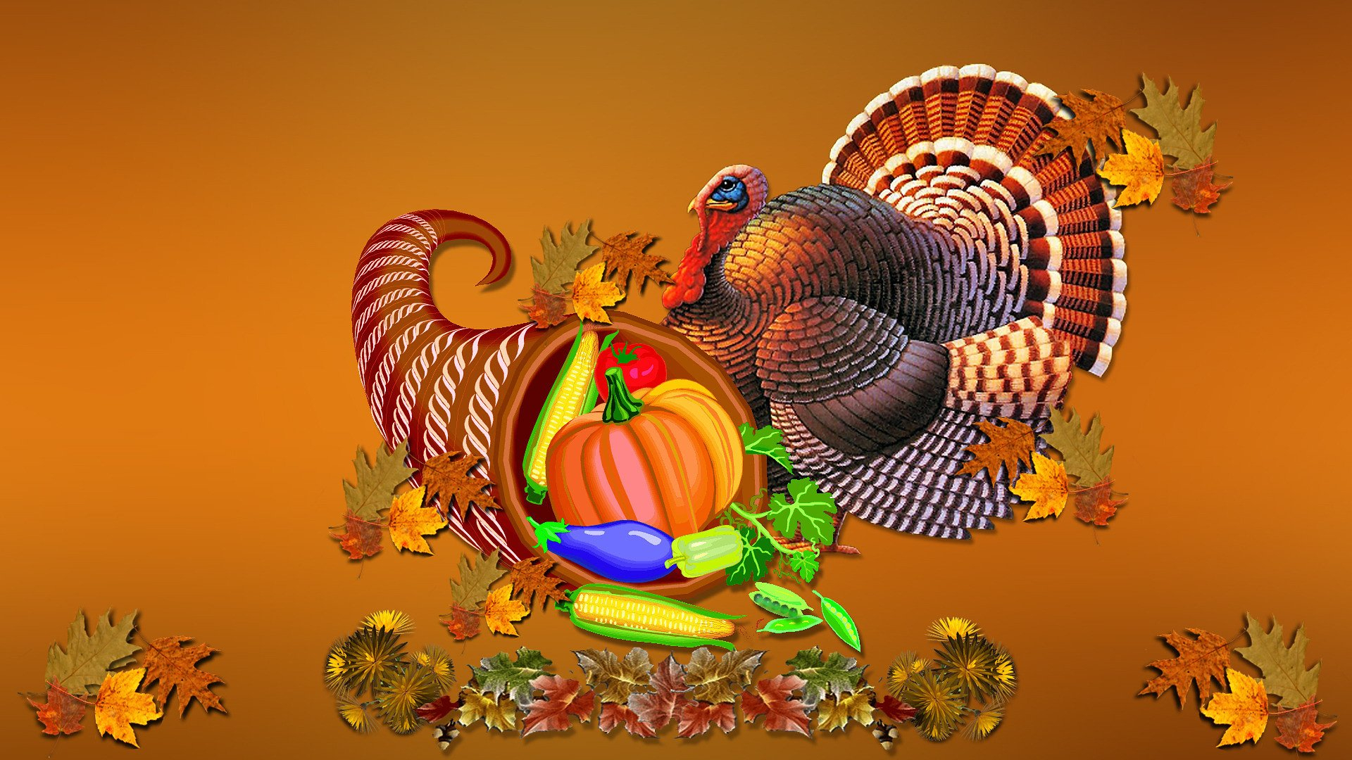 1920x1080 THANKSGIVING holiday autumn turkey wallpaper | | 527775 |
