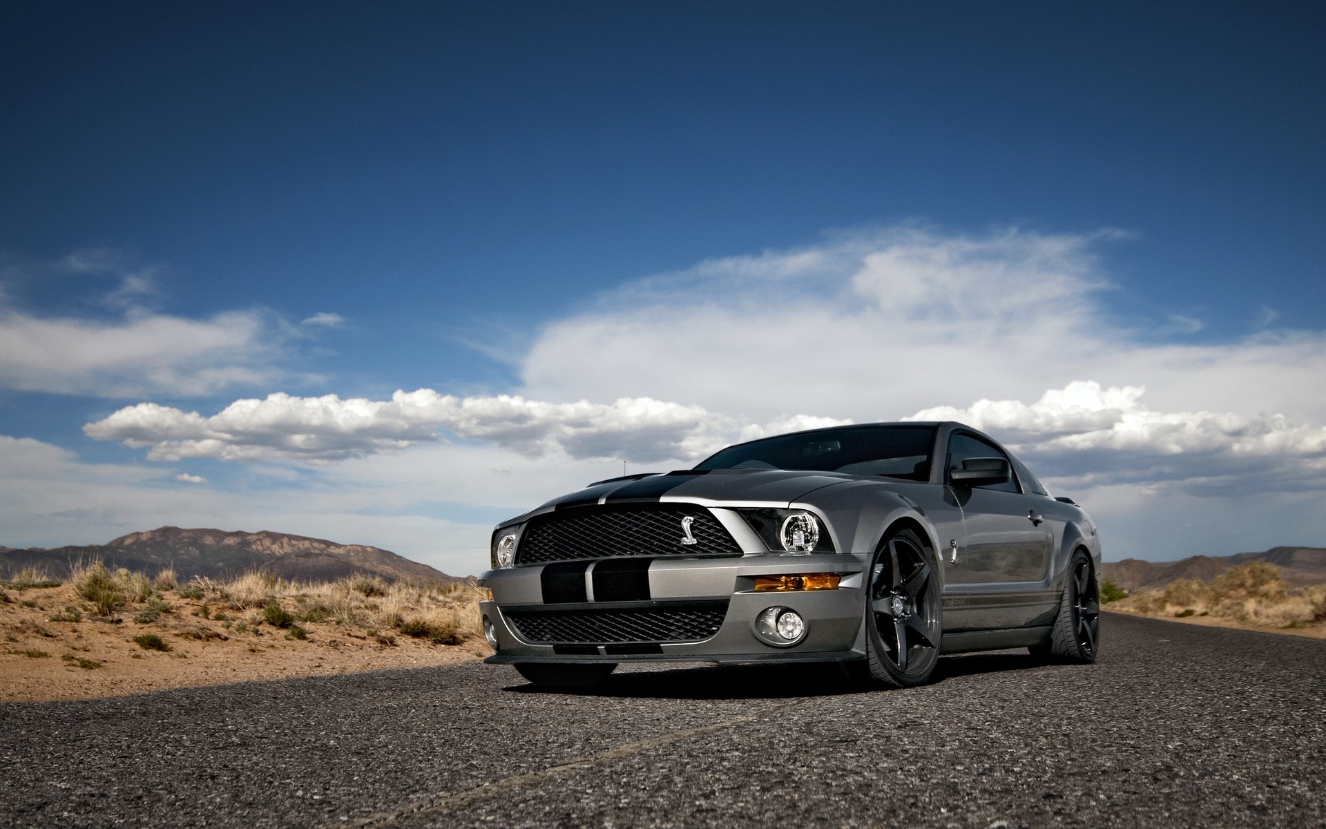 1920x1200 2007 Ford Mustang Shelby GT500 Wallpapers