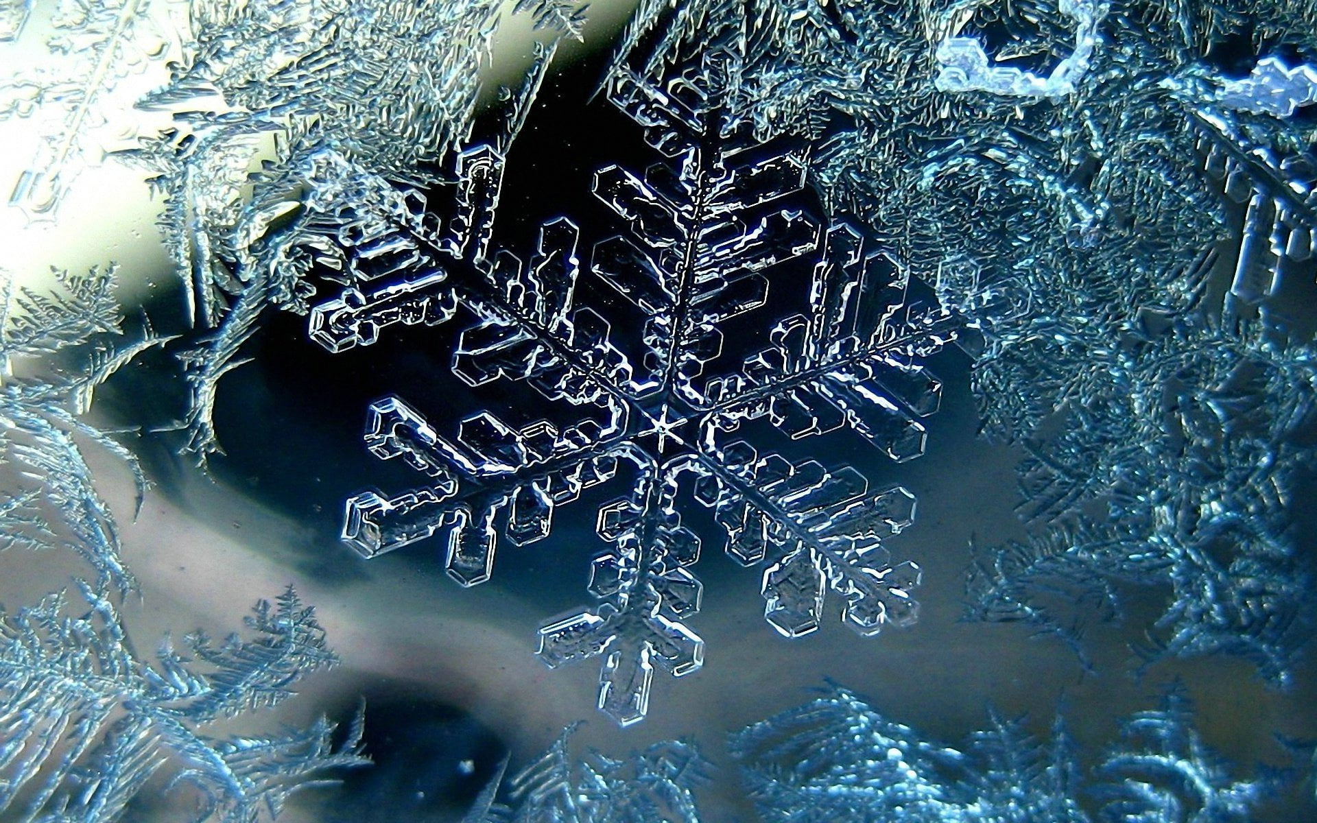 1920x1200 Close-up photography of snowflake HD wallpaper