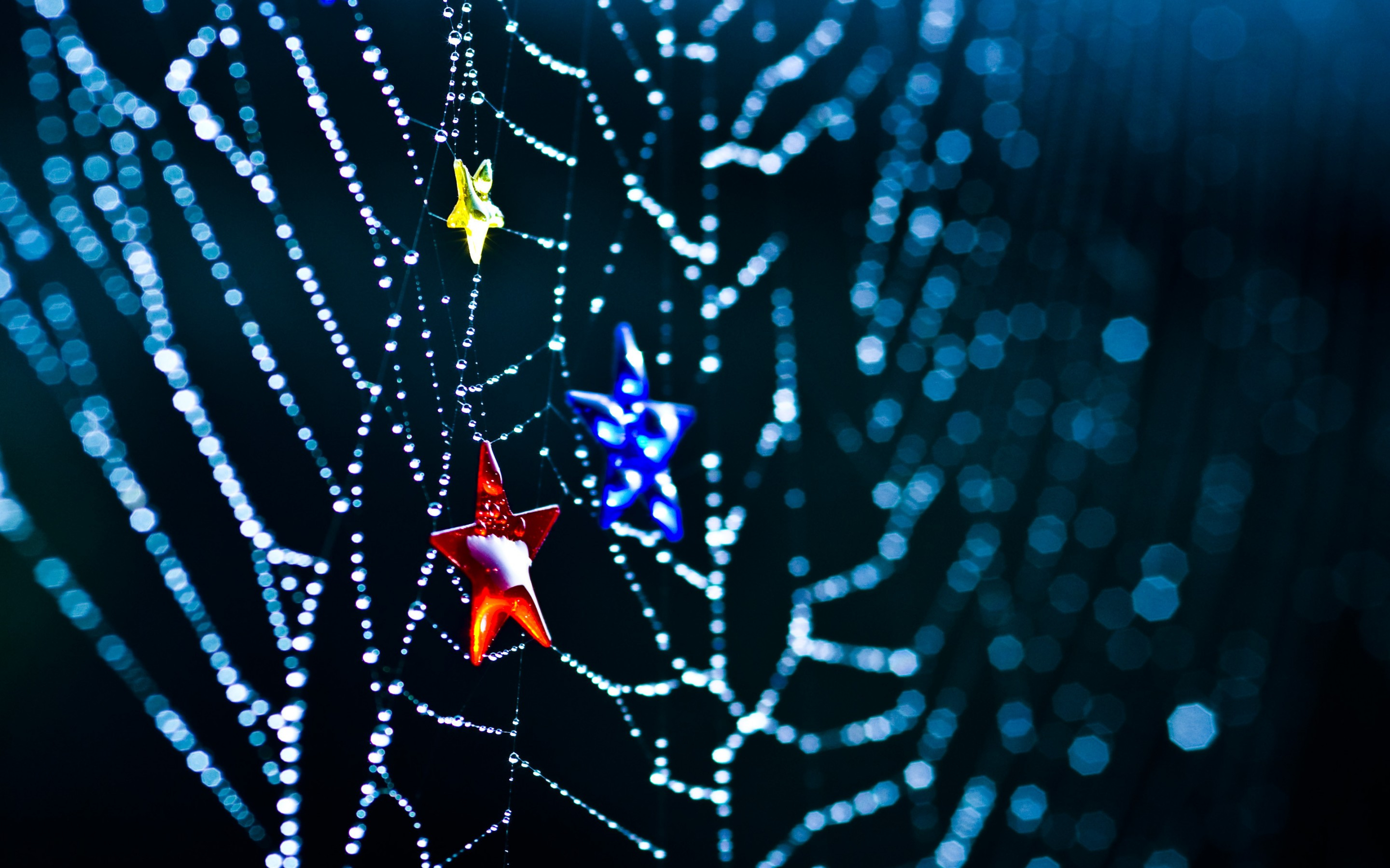 2880x1800 160+ Spider Web HD Wallpapers and Backgrounds