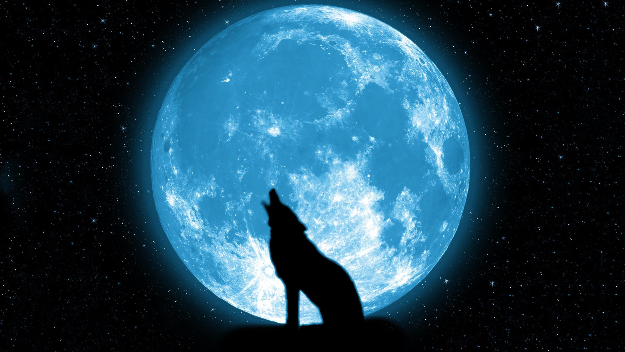 2560x1440 wolf howling on the moon Wallpapers HD / Desktop and Mobile Backgrounds