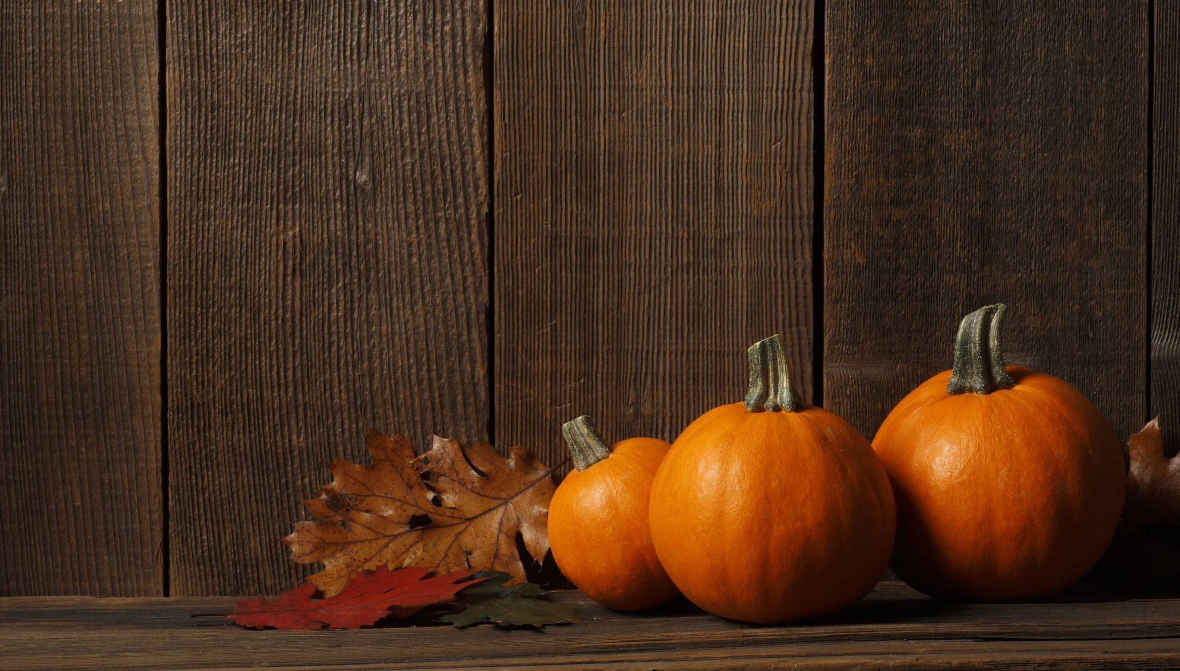 2340x1332 Thanksgiving Background Images (37+ pictures
