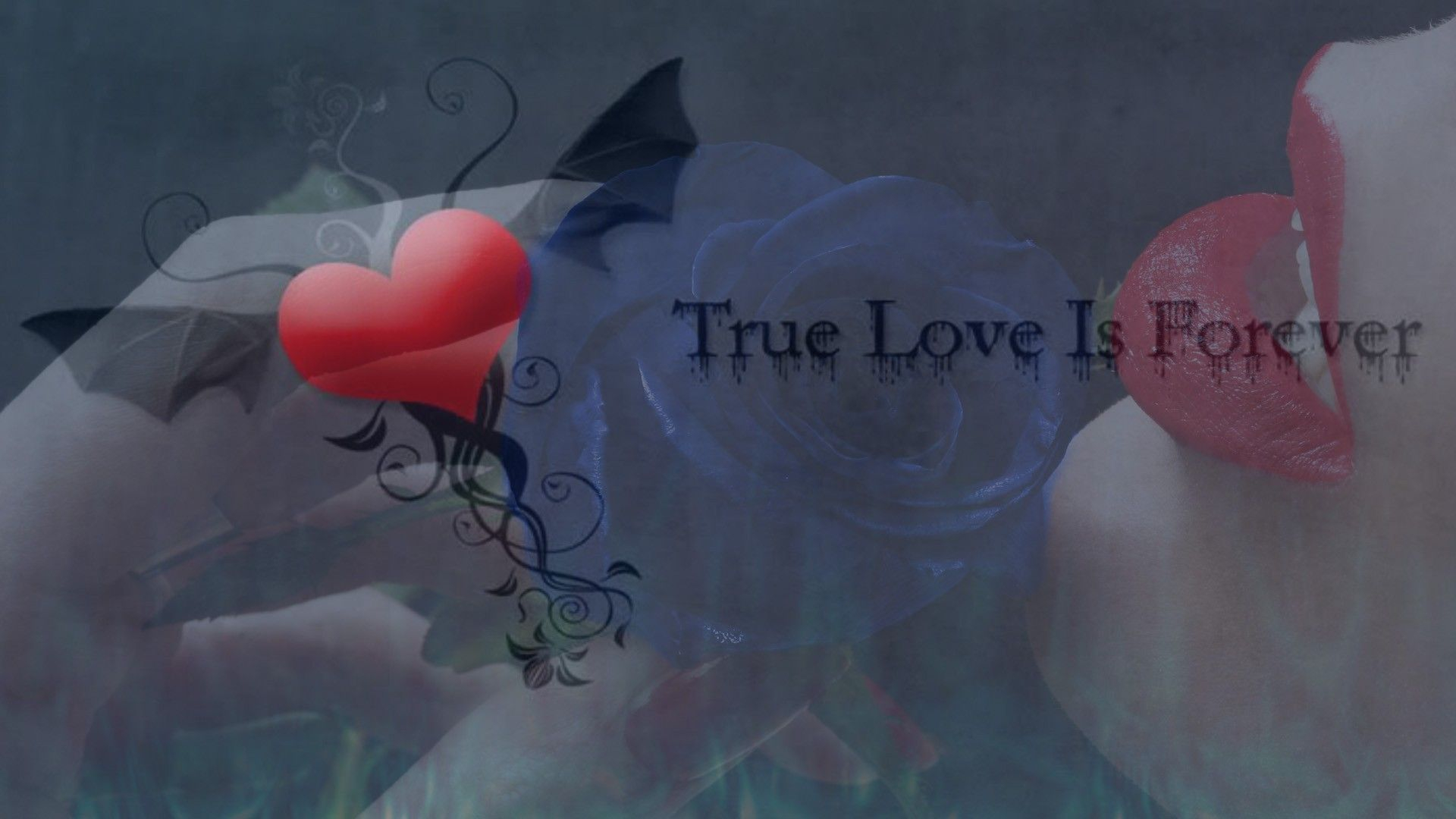 1920x1080 True love is forever wallpaper | True love images, True love, Love images