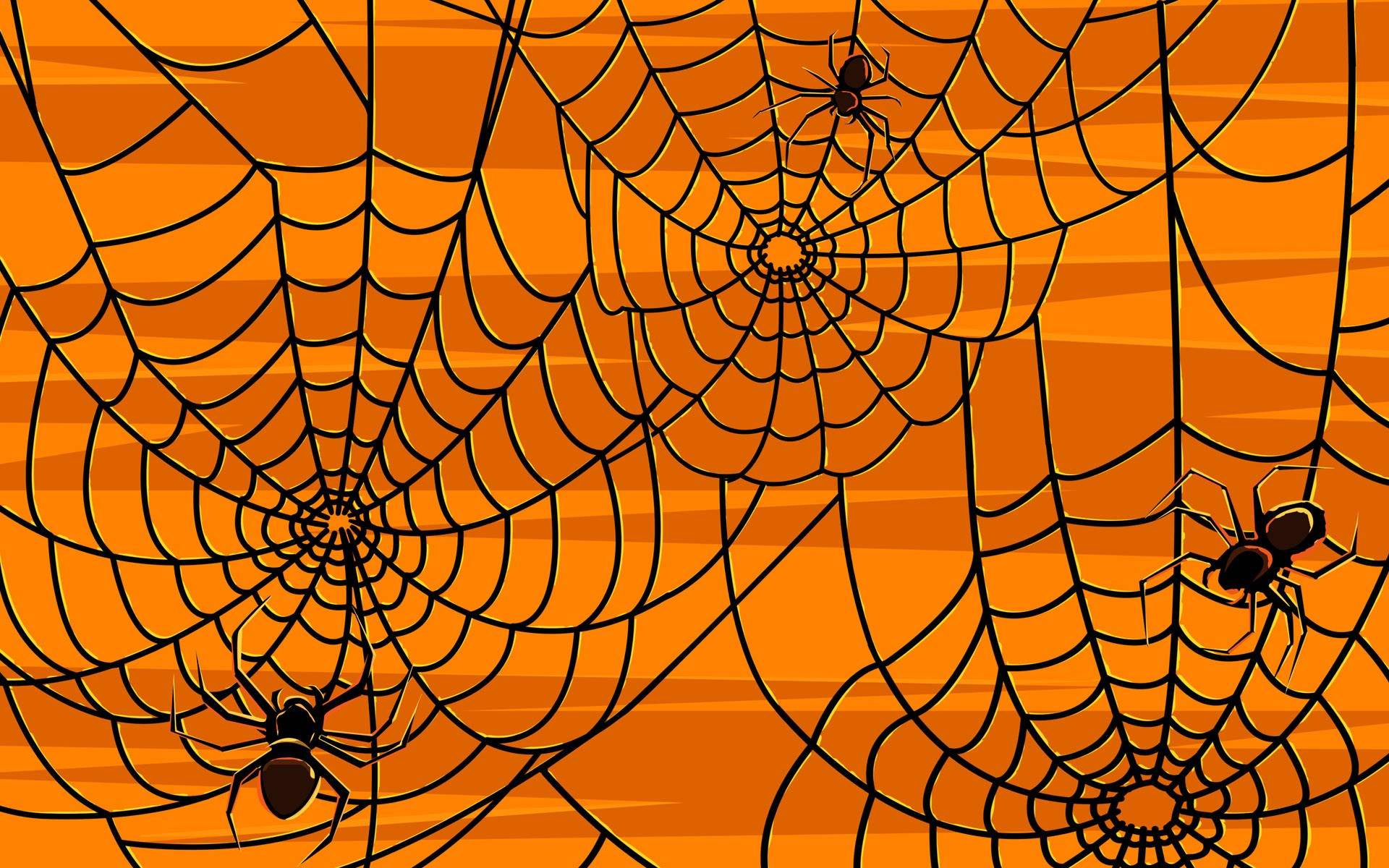 1920x1200 Halloween Spider Wallpapers Top Free Halloween Spider Backgrounds
