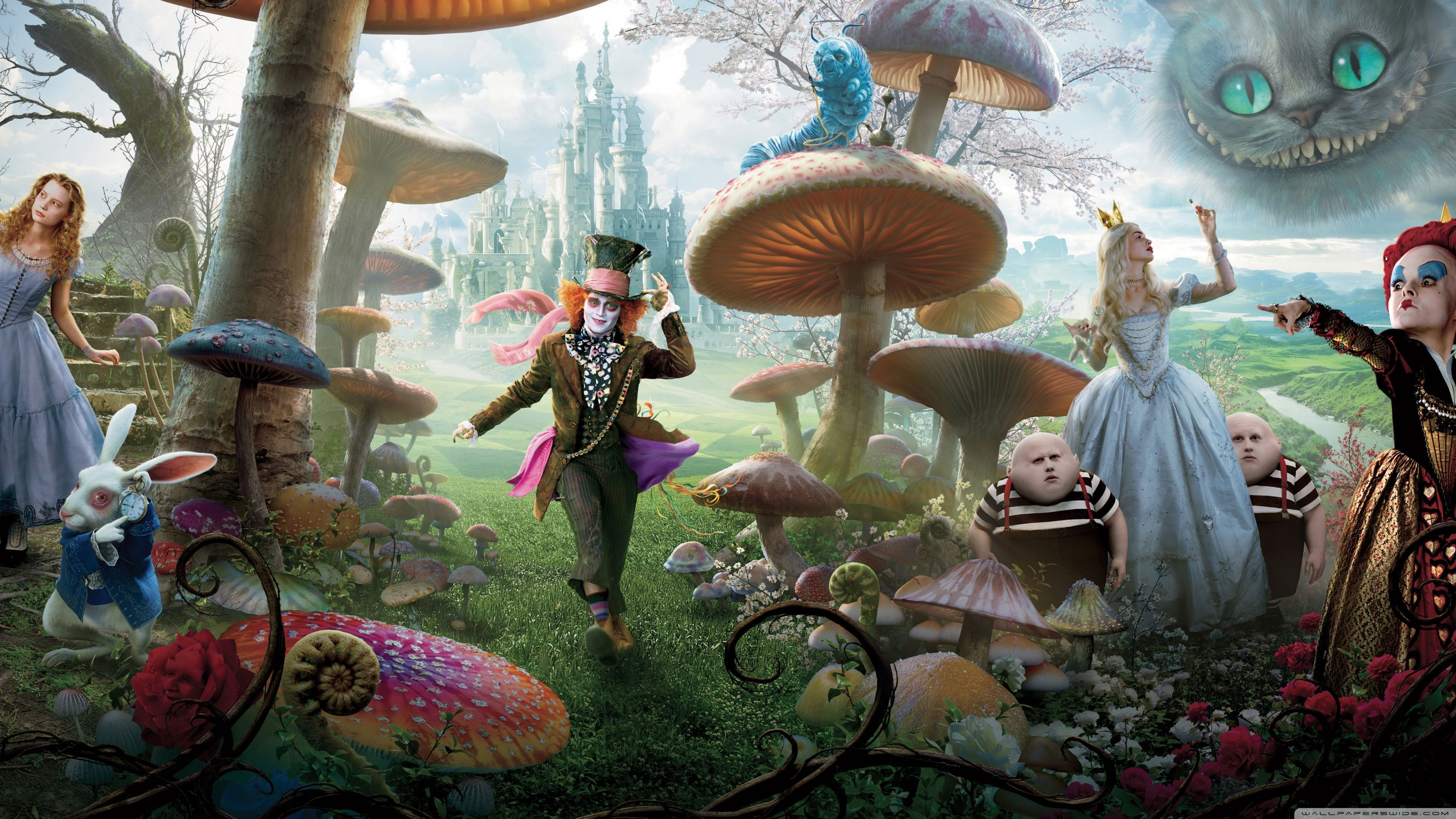 3554x1999 Alice in Wonderland HD Wallpapers Top Free Alice in Wonderland HD Backgrounds