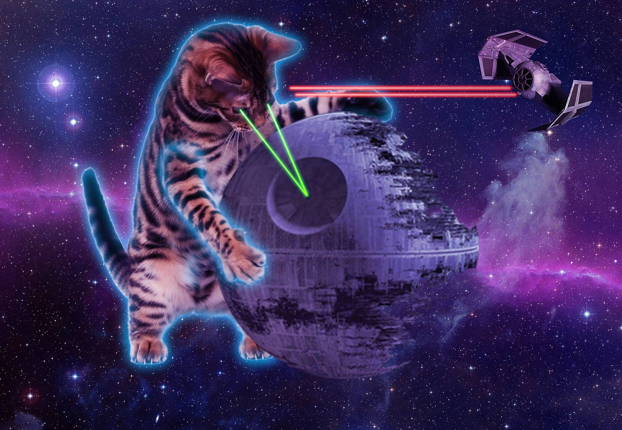 2040x1409 My collection of OC (outerspace cats) These have been fun to do. I will keep making them and adding them to the album later. | Space cat, Cat laser, Cat wallpaper