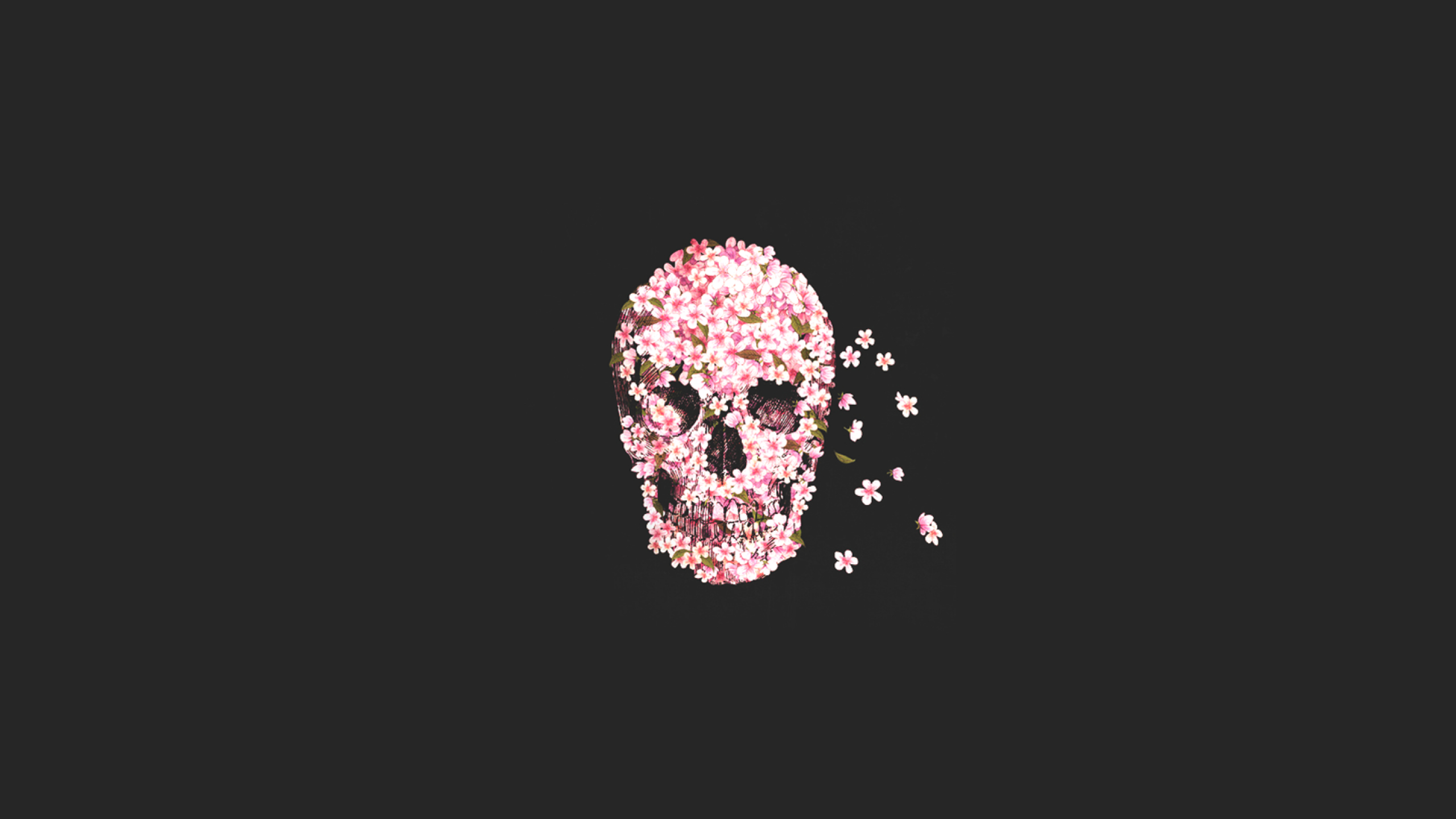 2560x1440 Wallpaper : Sugar Skull, skull, rose UmutESG 1387513 HD Wallpapers