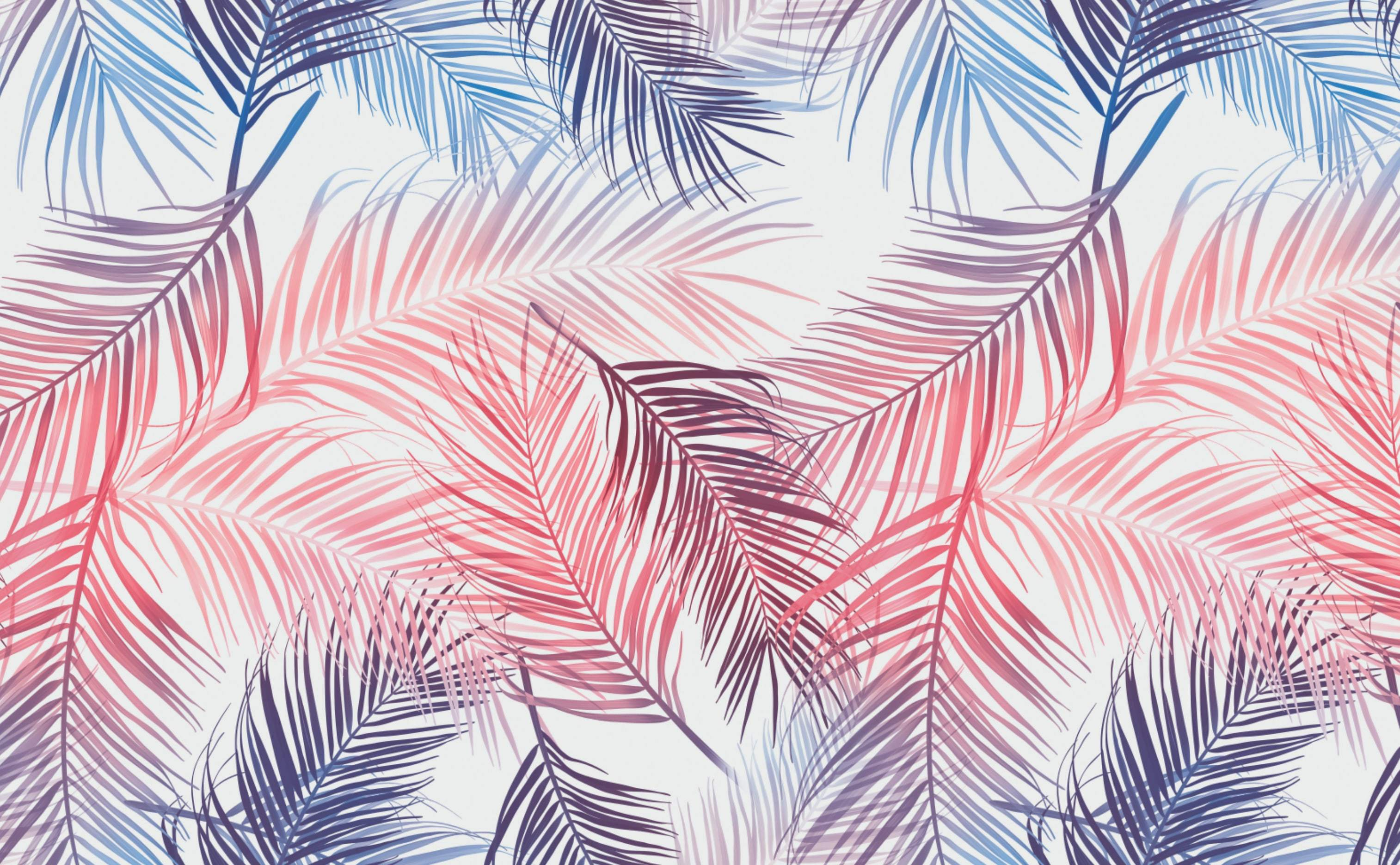 3028x1872 Tropical Palm Leaf Wallpapers Top Free Tropical Palm Leaf Backgrounds