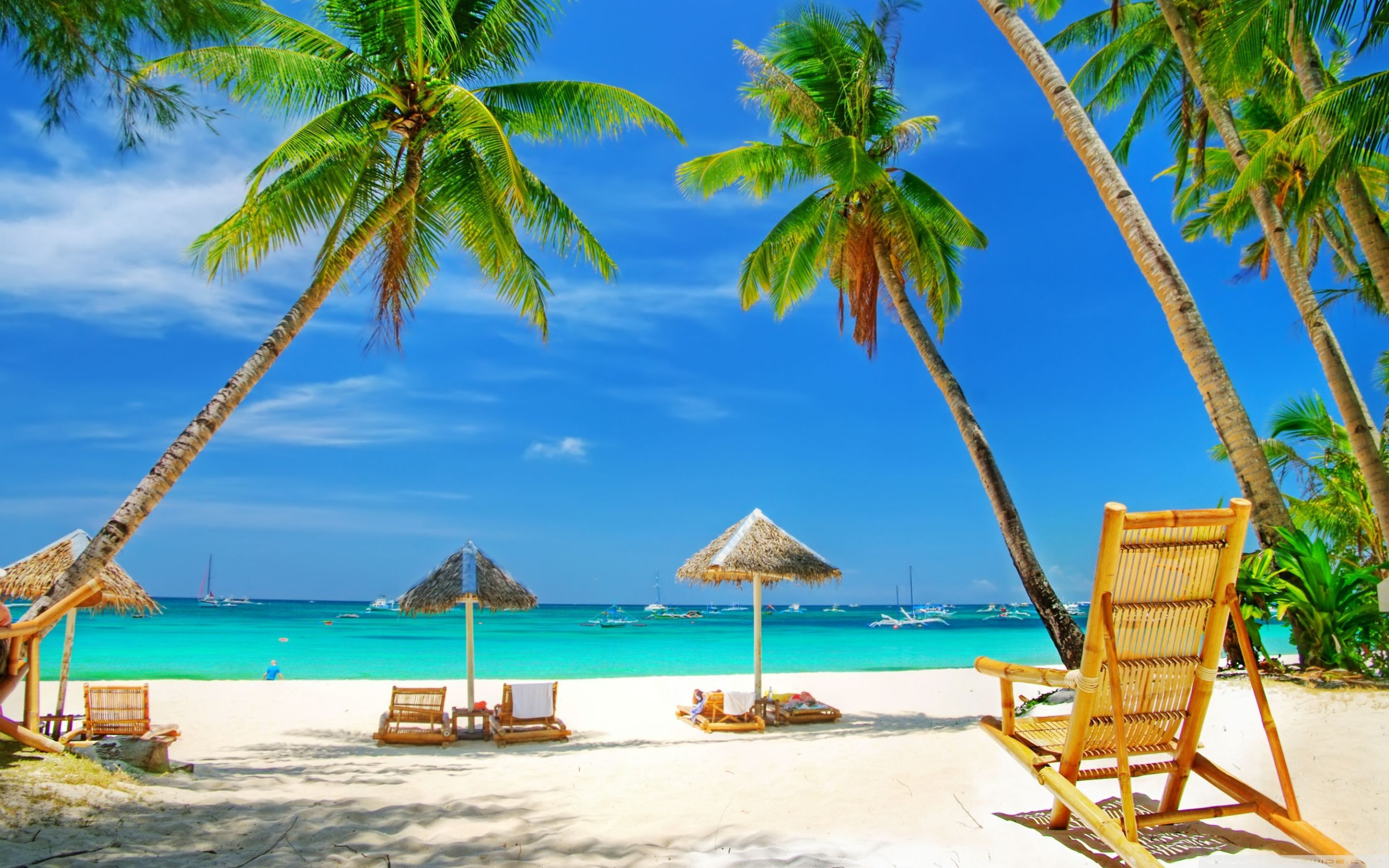 2880x1800 Tropical Paradise Wallpapers Top Free Tropical Paradise Backgrounds