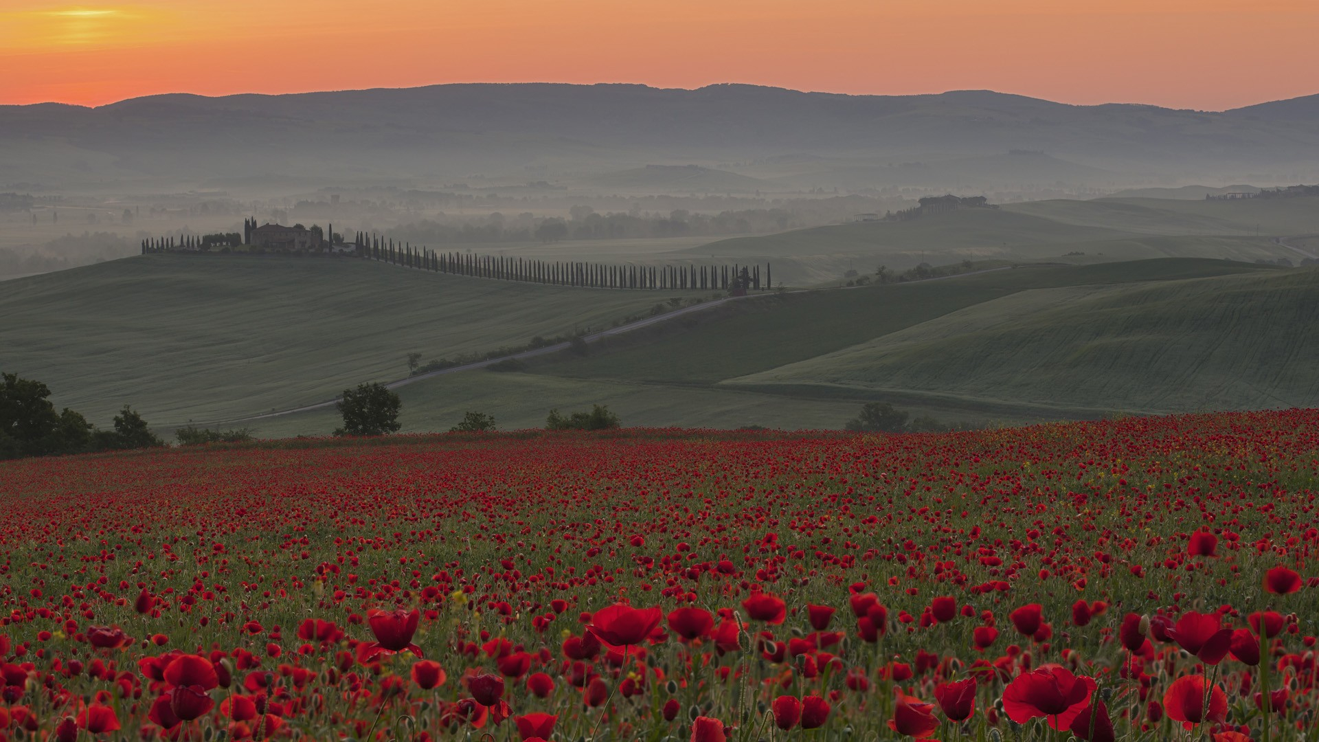 1920x1080 sunrise, Nature, Italy, Poppy, Crete, Tuscany Wallpapers HD / Desktop and Mobile Backgrounds