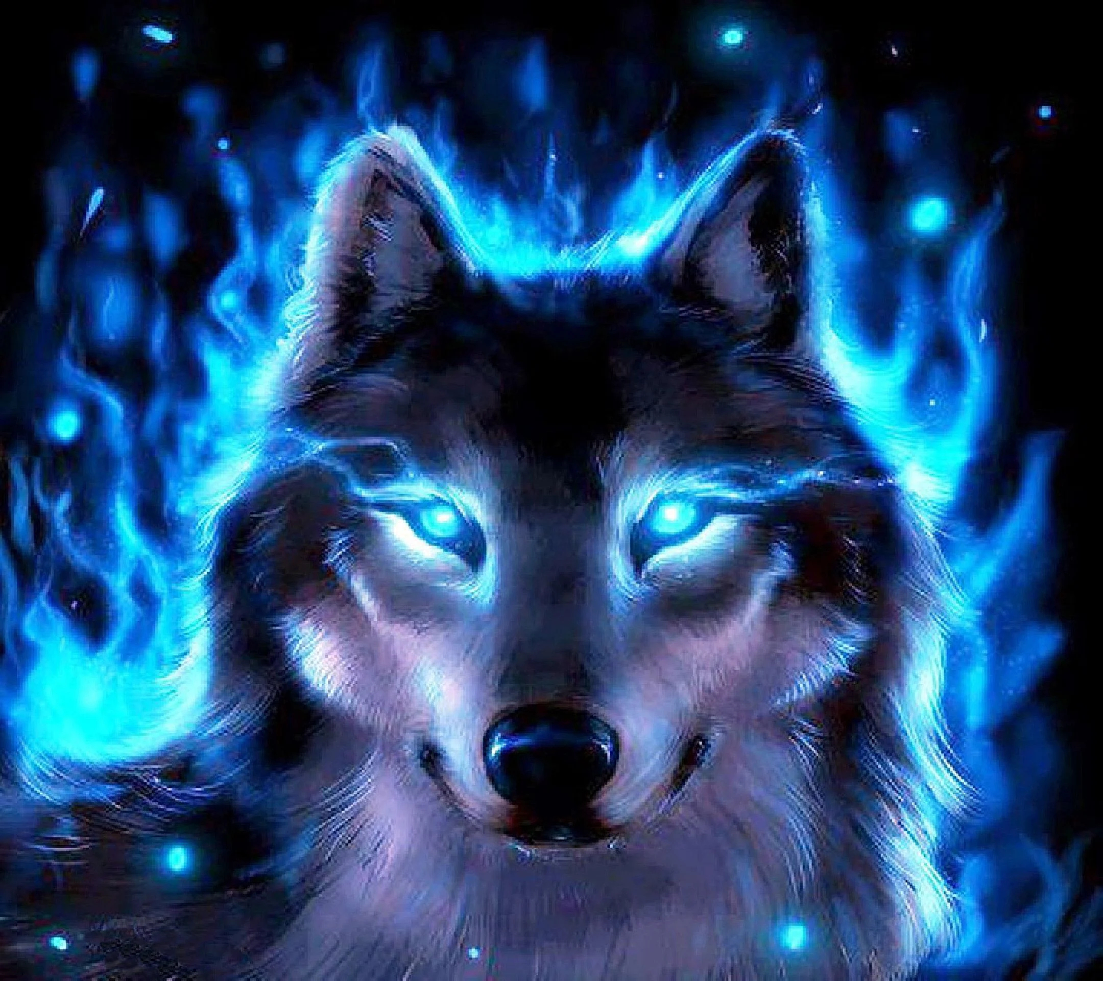 2160x1920 Neon Blue Wolf Wallpapers Top Free Neon Blue Wolf Backgrounds