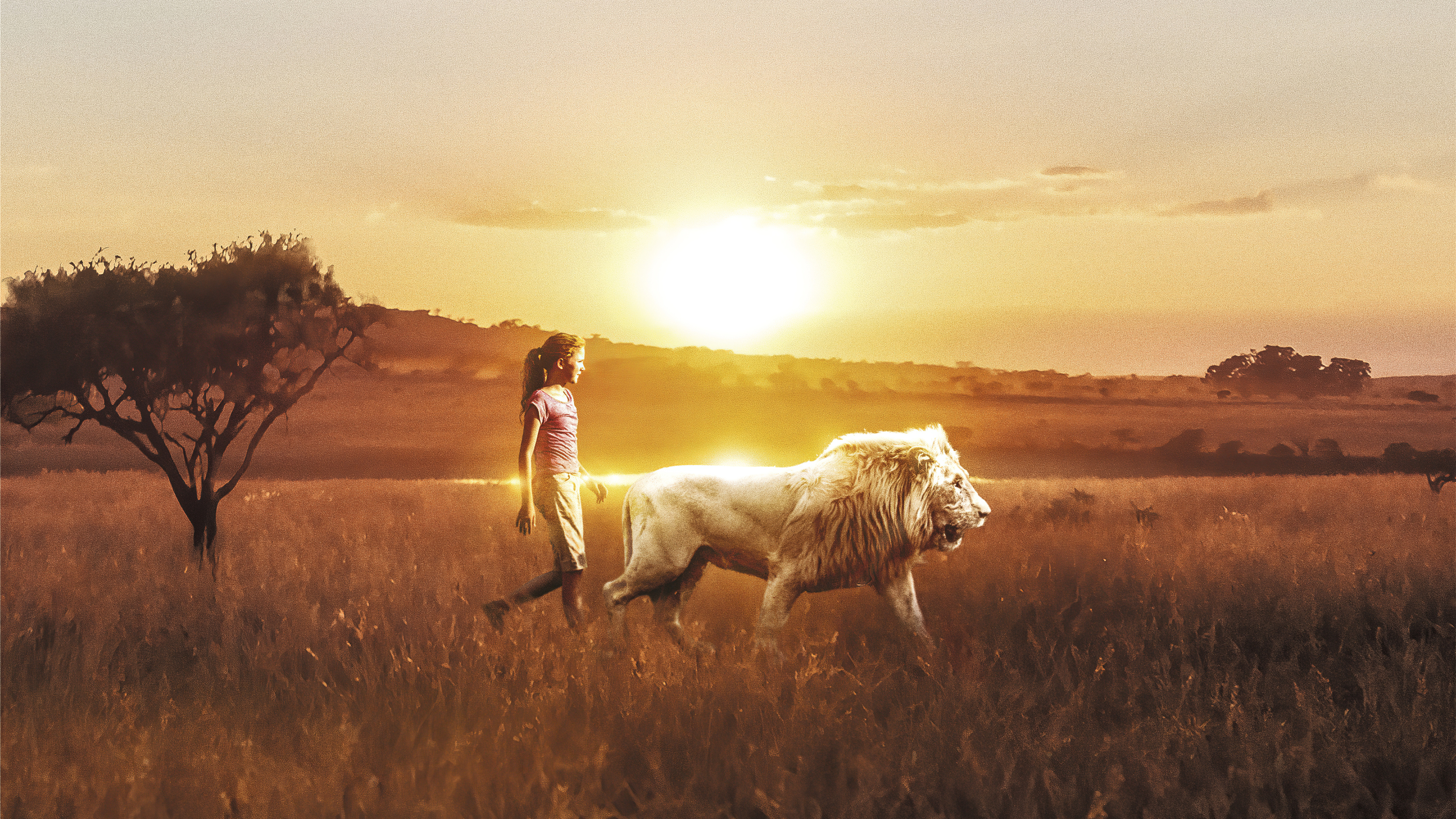 3840x2160 1366x768 Mia And The White Lion 1366x768 Resolution HD 4k Wallpapers, Images, Backgrounds, Photos and Pictures