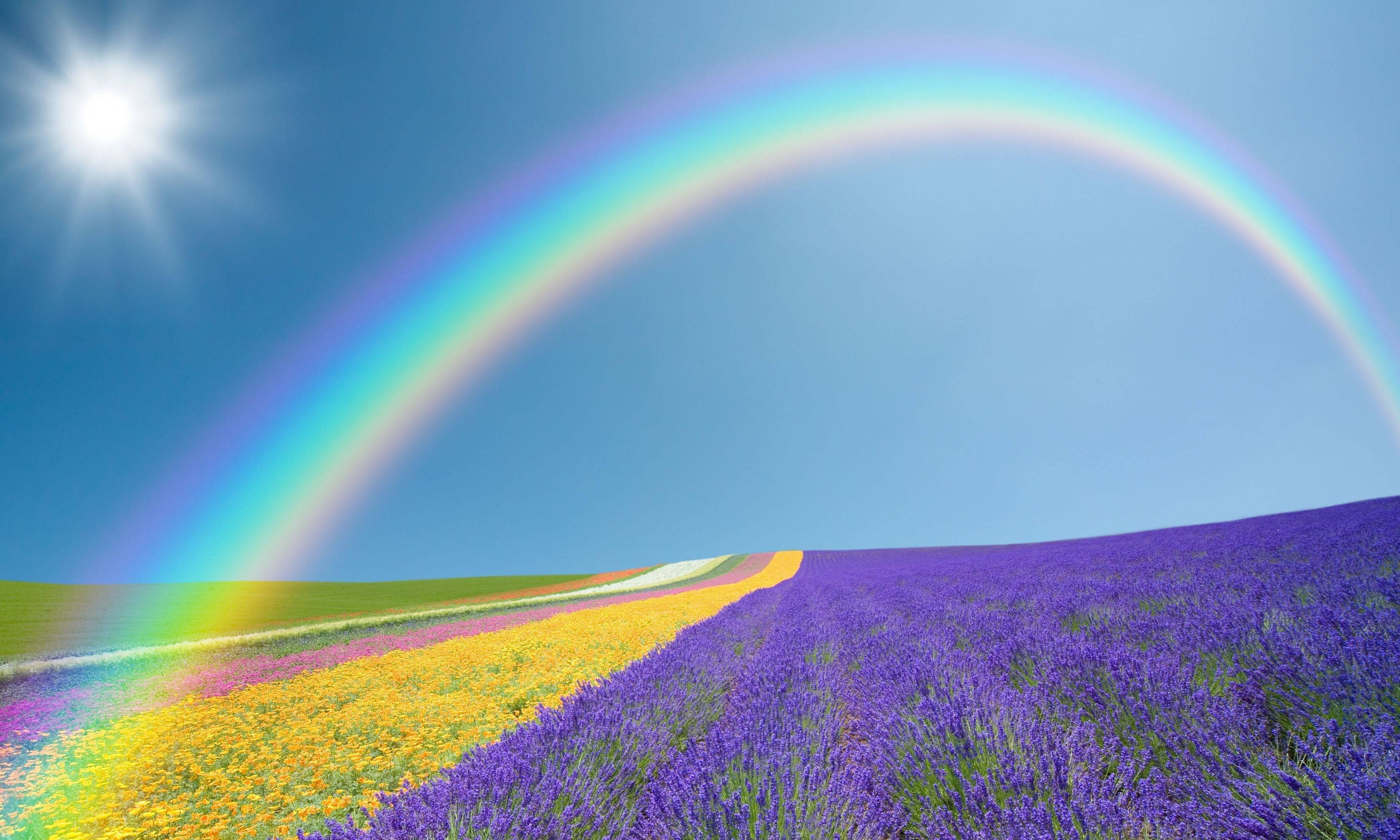 3500x2100 Download Rainbow In Sky Wallpaper