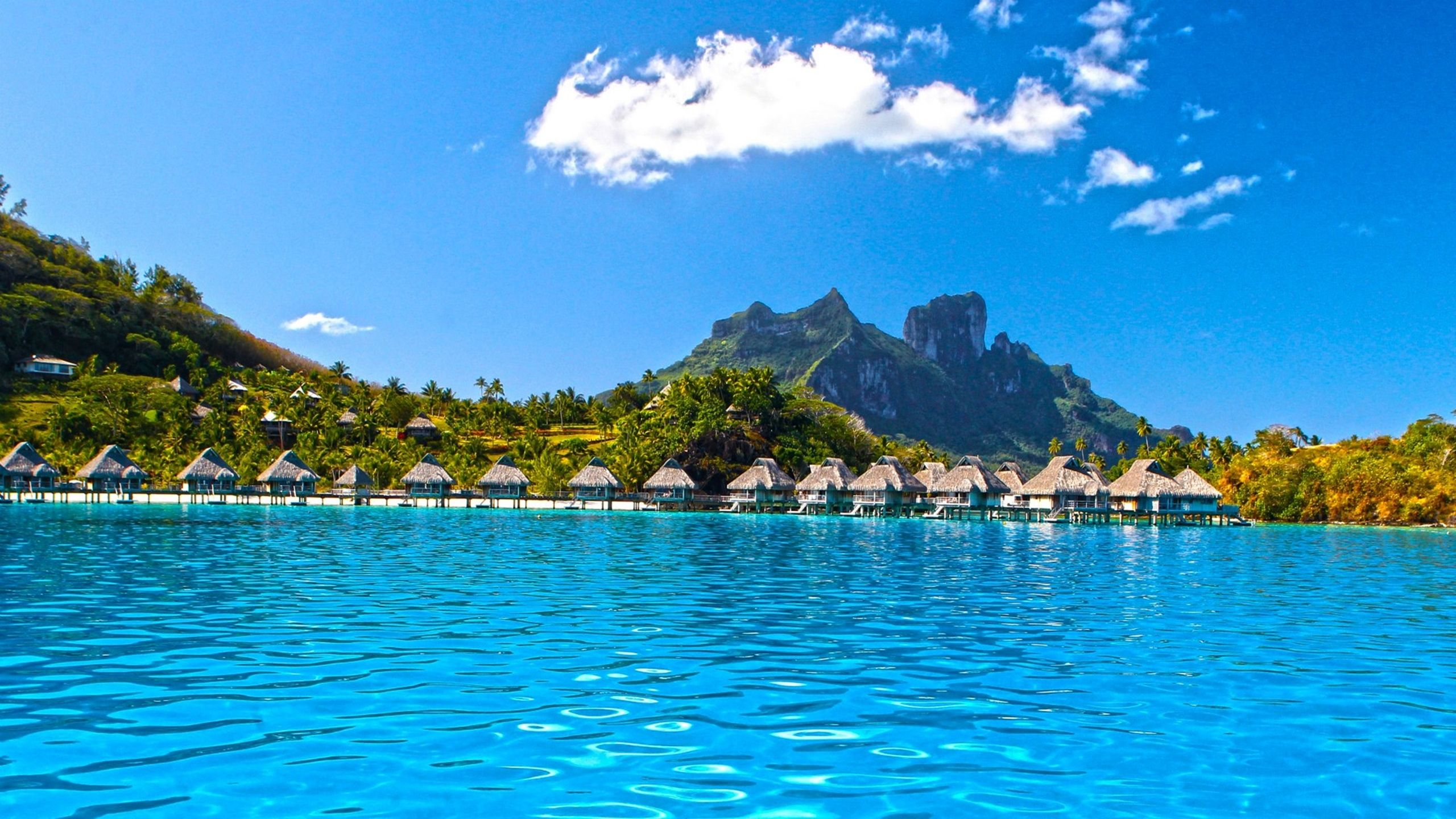2560x1440 Perfect Blue Lagoon Ocean Water Villas Bungalows On Paradise Tropical Isl Bora Bora Polynesia Tahiti Desktop Background&acirc;&#128;&brvbar; | Water villa, Bora bora, Bora bora resorts
