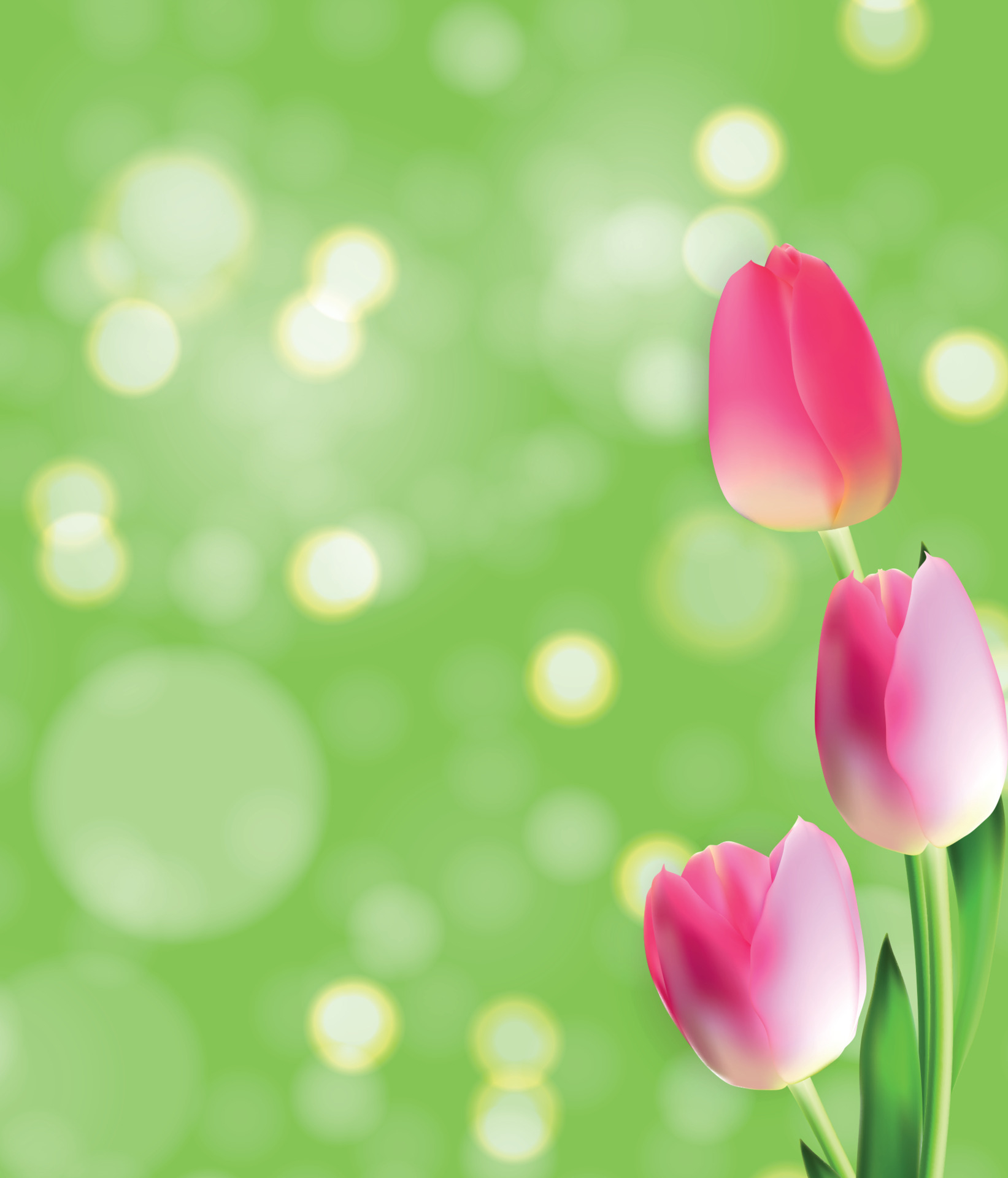 1643x1920 Spring and Summer Tulip Flower Natural Background. Vector Illustration 4565153 Vector Art