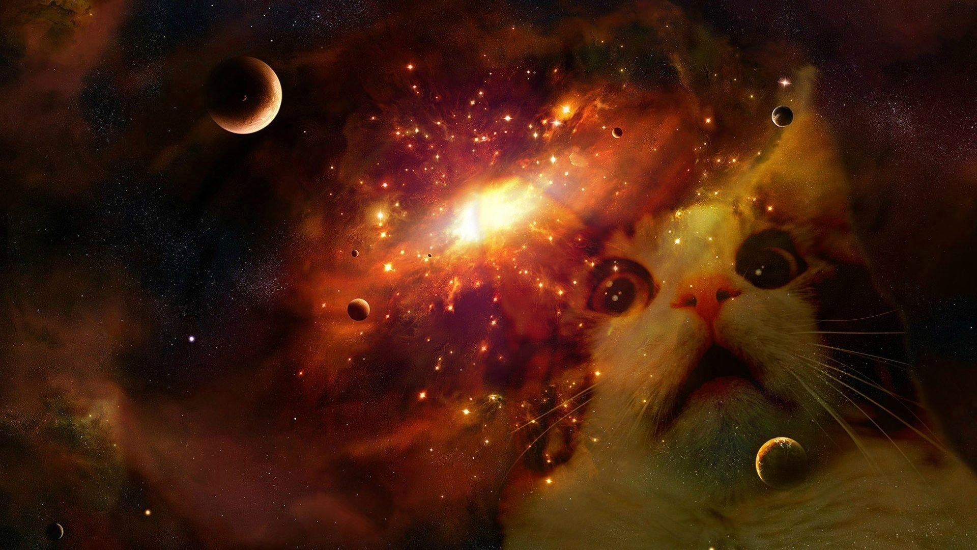 1920x1080 Cats In Space Wallpapers