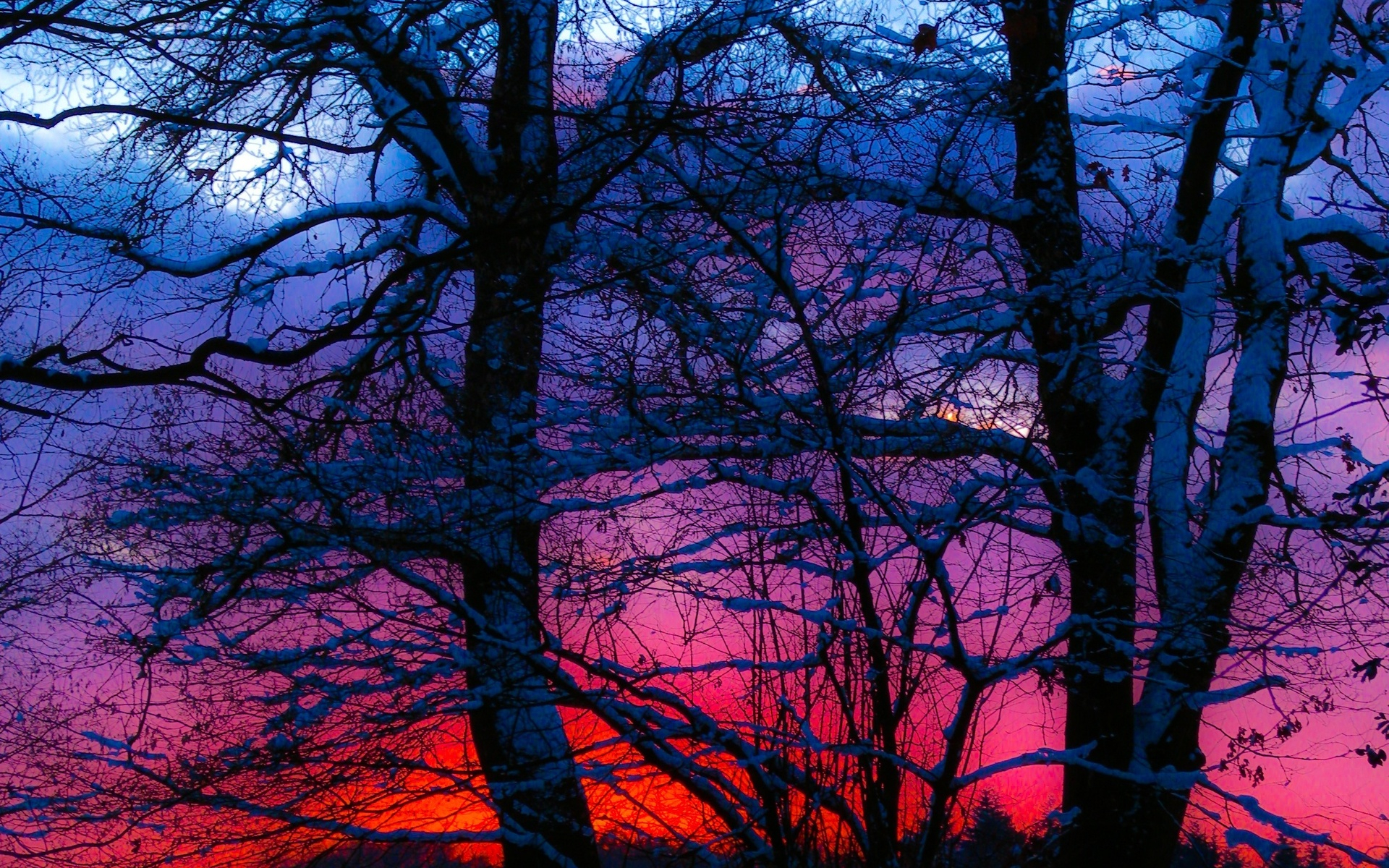 1920x1200 Winter sunset trees snow landscape wallpaper | | 67903 |