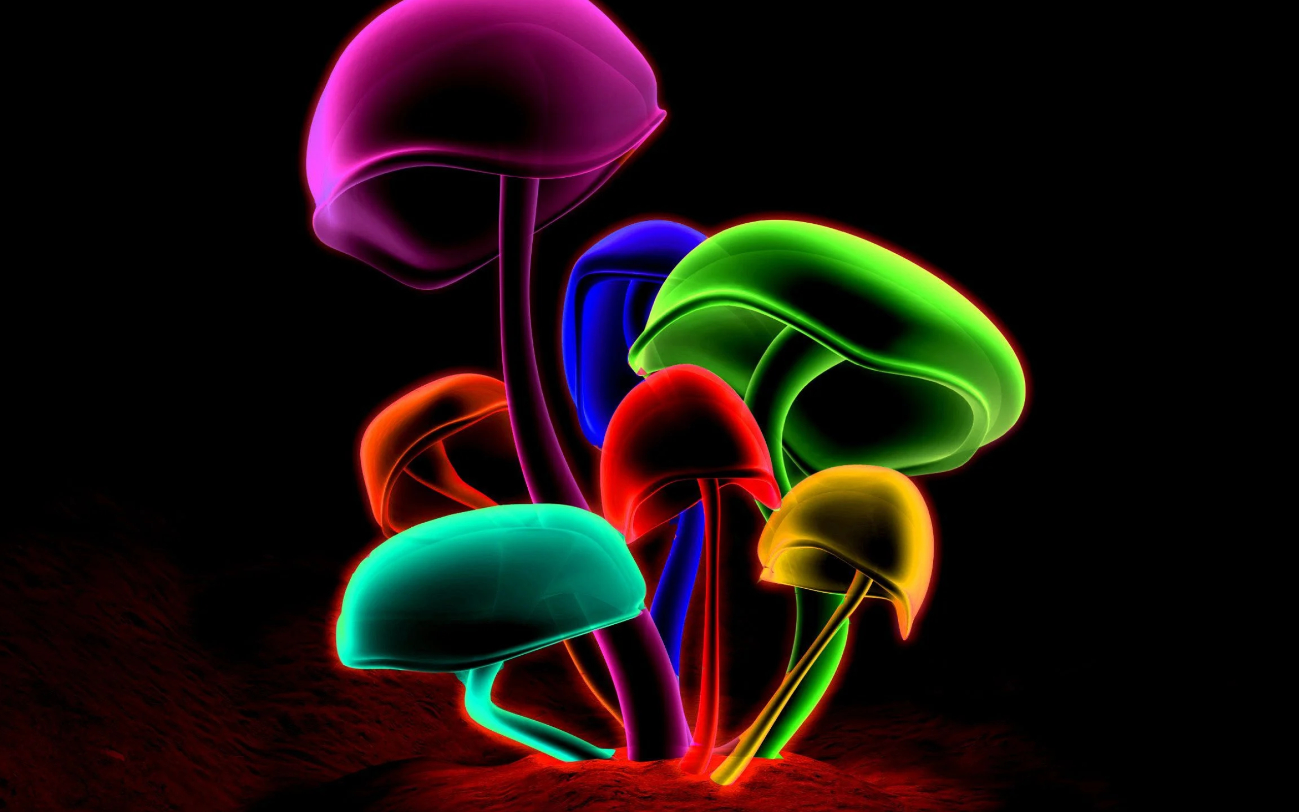 2560x1600 Neon Mushroom Wallpapers Top Free Neon Mushroom Backgrounds