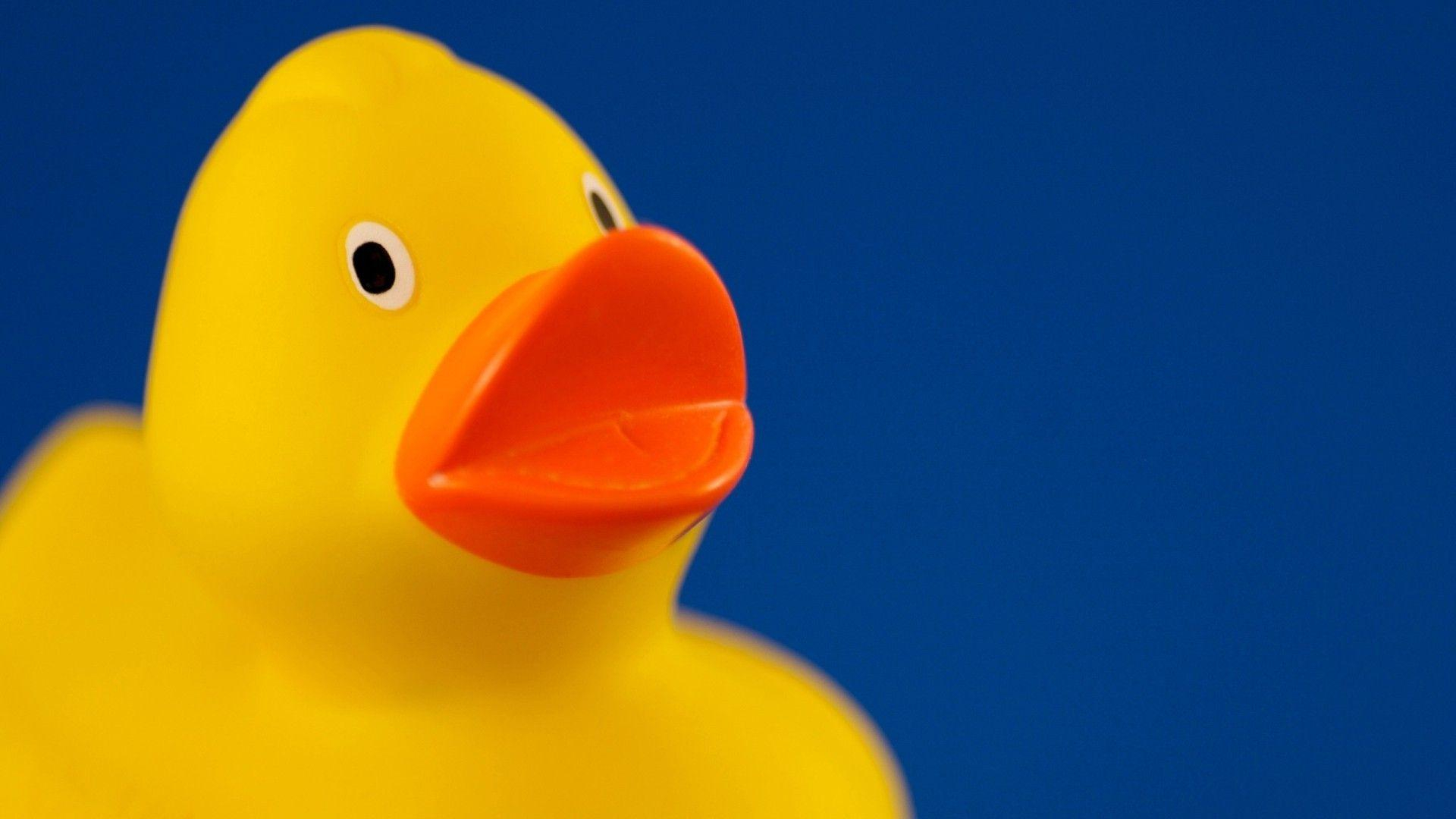 1920x1080 Rubber Ducky Wallpapers