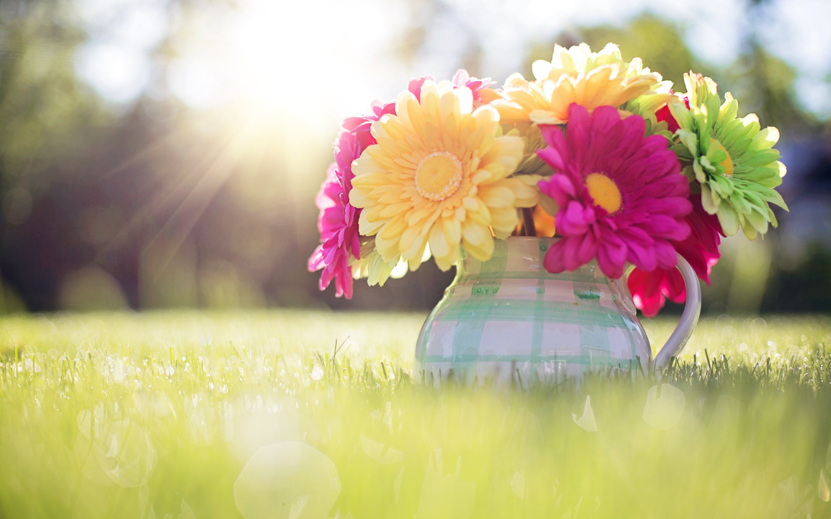 2880x1800 Spring Wallpapers Top Free Spring Backgrounds