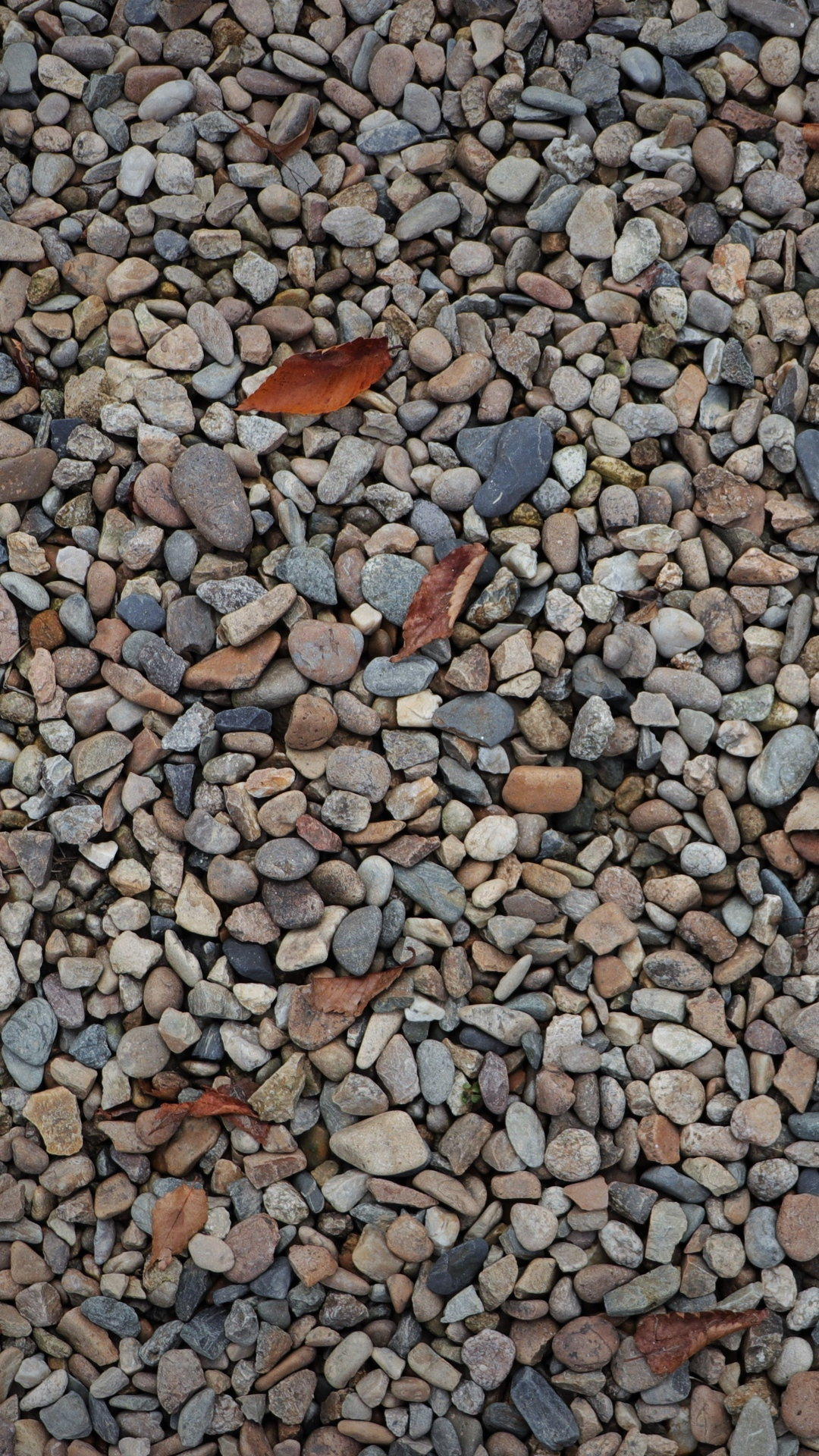1080x1920 Stones Sea Pebbles Gravel Wallpaper [