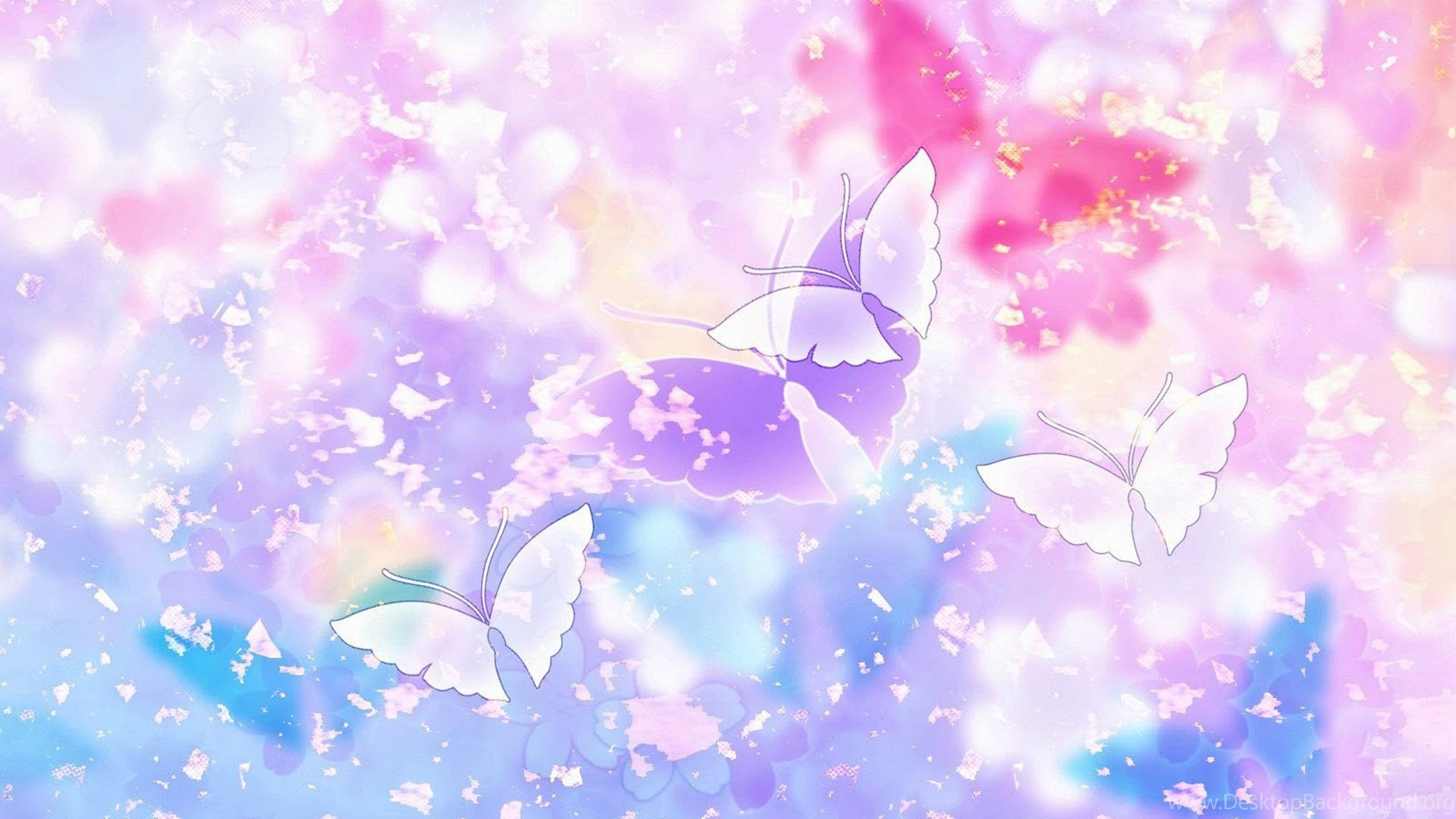 2560x1440 Pink and Purple Butterfly Wallpapers Top Free Pink and Purple Butterfly Backgrounds