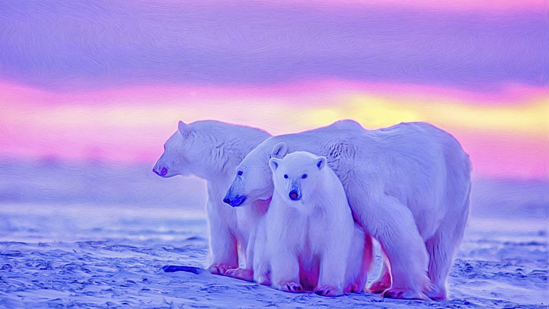 1920x1080 Polar bears wallpaper backiee