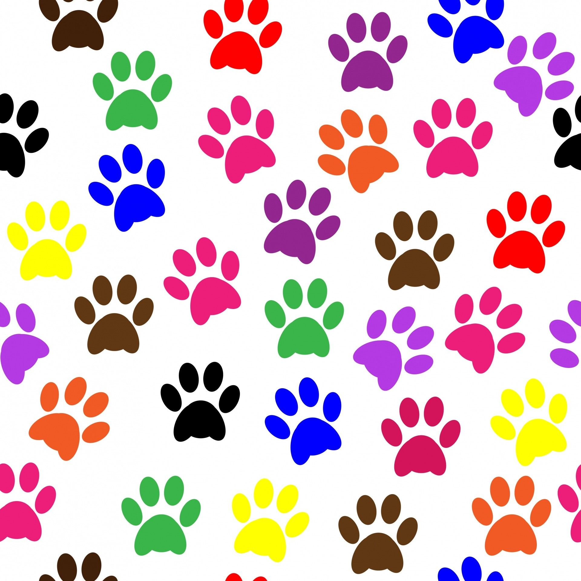 1920x1920 Dog Paw Wallpapers Top Free Dog Paw Backgrounds