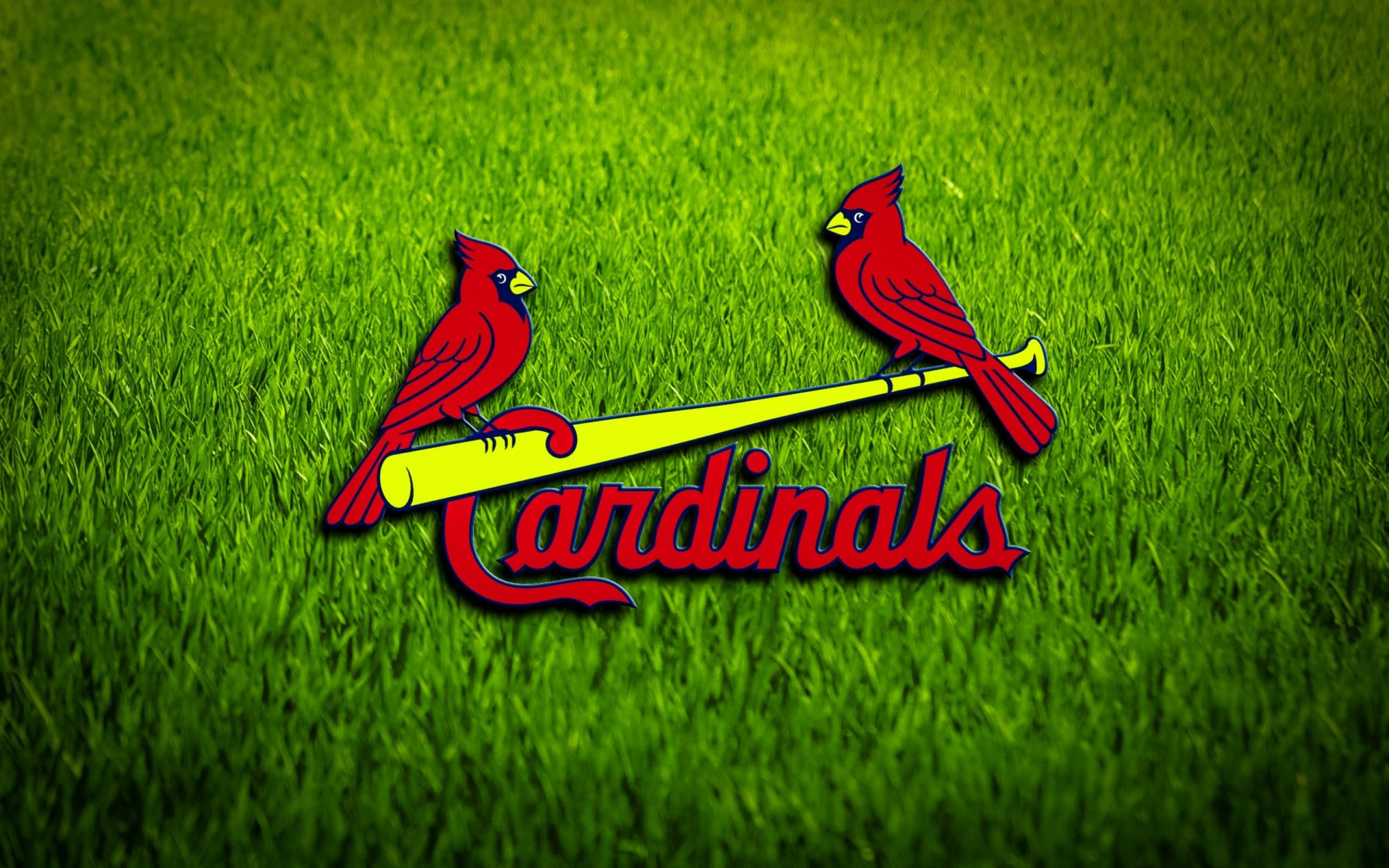 2560x1600 20+ St. Louis Cardinals HD Wallpapers and Backgrounds
