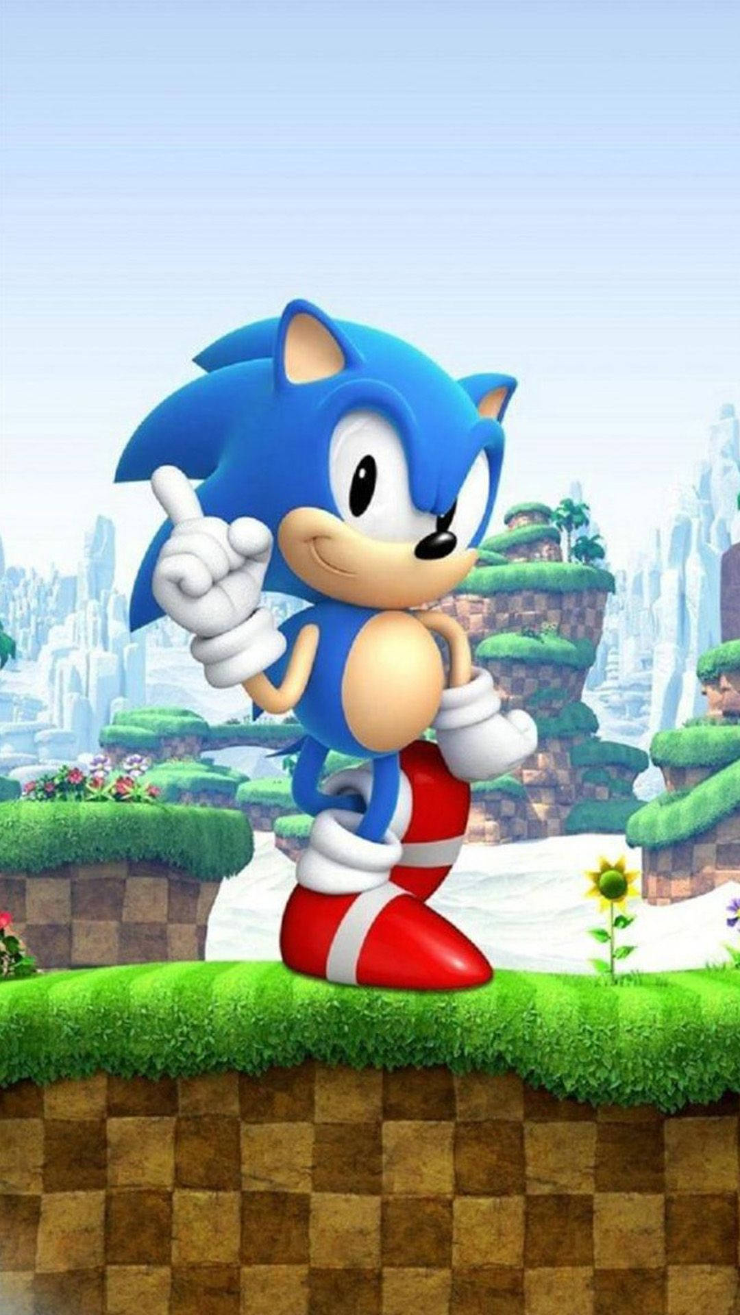 1080x1920 Download The Adventurous Hedgehog Sonic Wallpaper