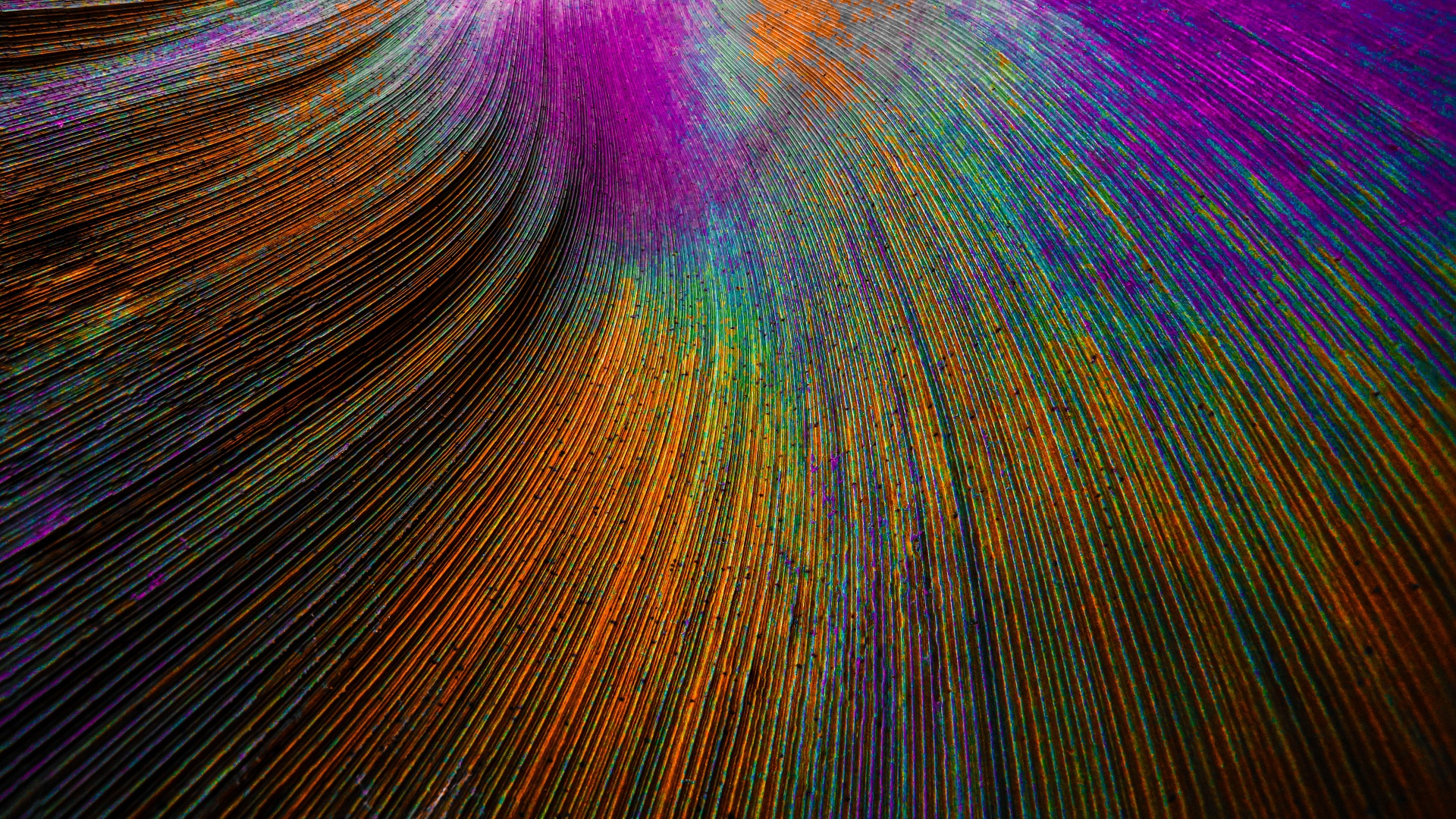 1920x1080 Abstract Peacock feather Wallpaper KDE Store