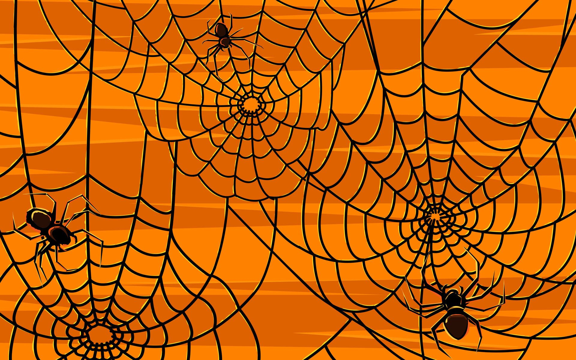 1920x1200 Cute Halloween Spider Wallpapers