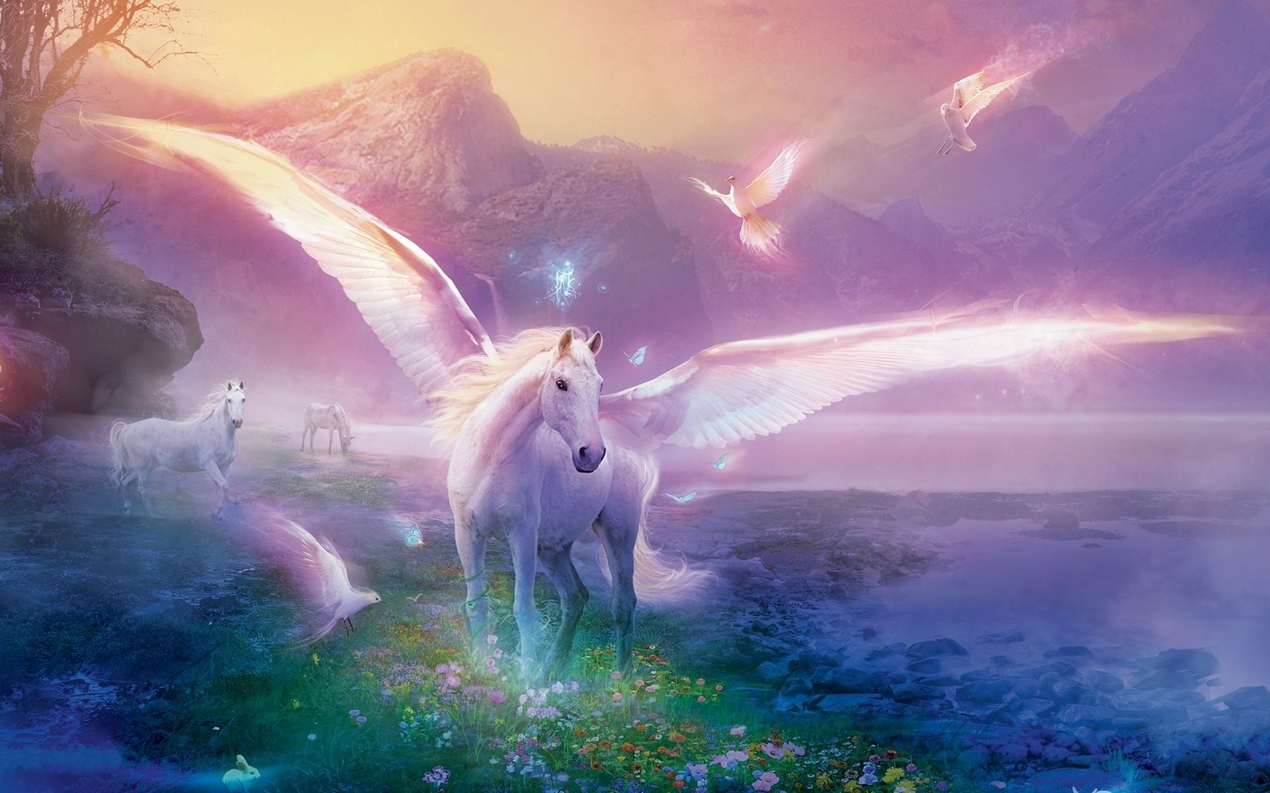 2560x1600 Realistic Unicorn Wallpapers Top Free Realistic Unicorn Backgrounds