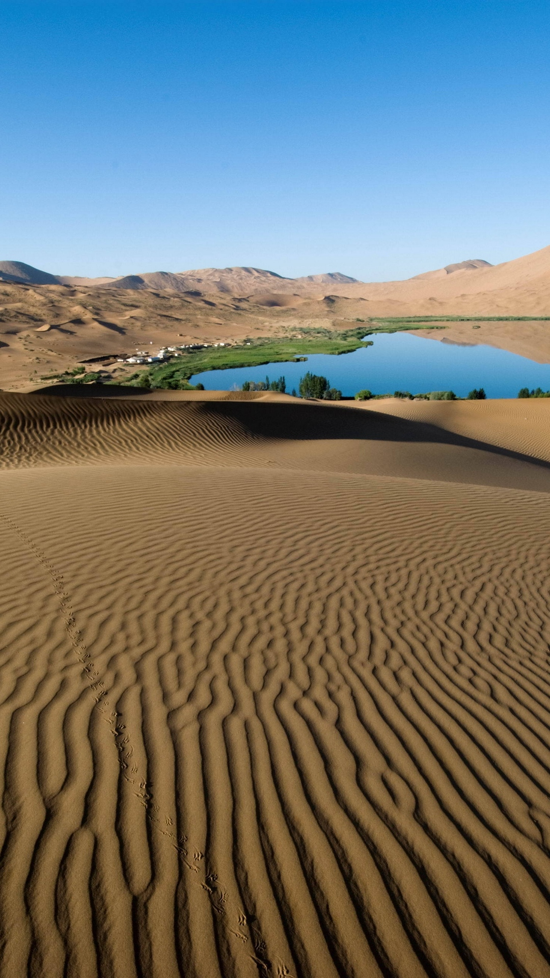 1080x1920 Desert Sand Patterns Lines Oasis Lake Coast Vegetation Wallpaper [