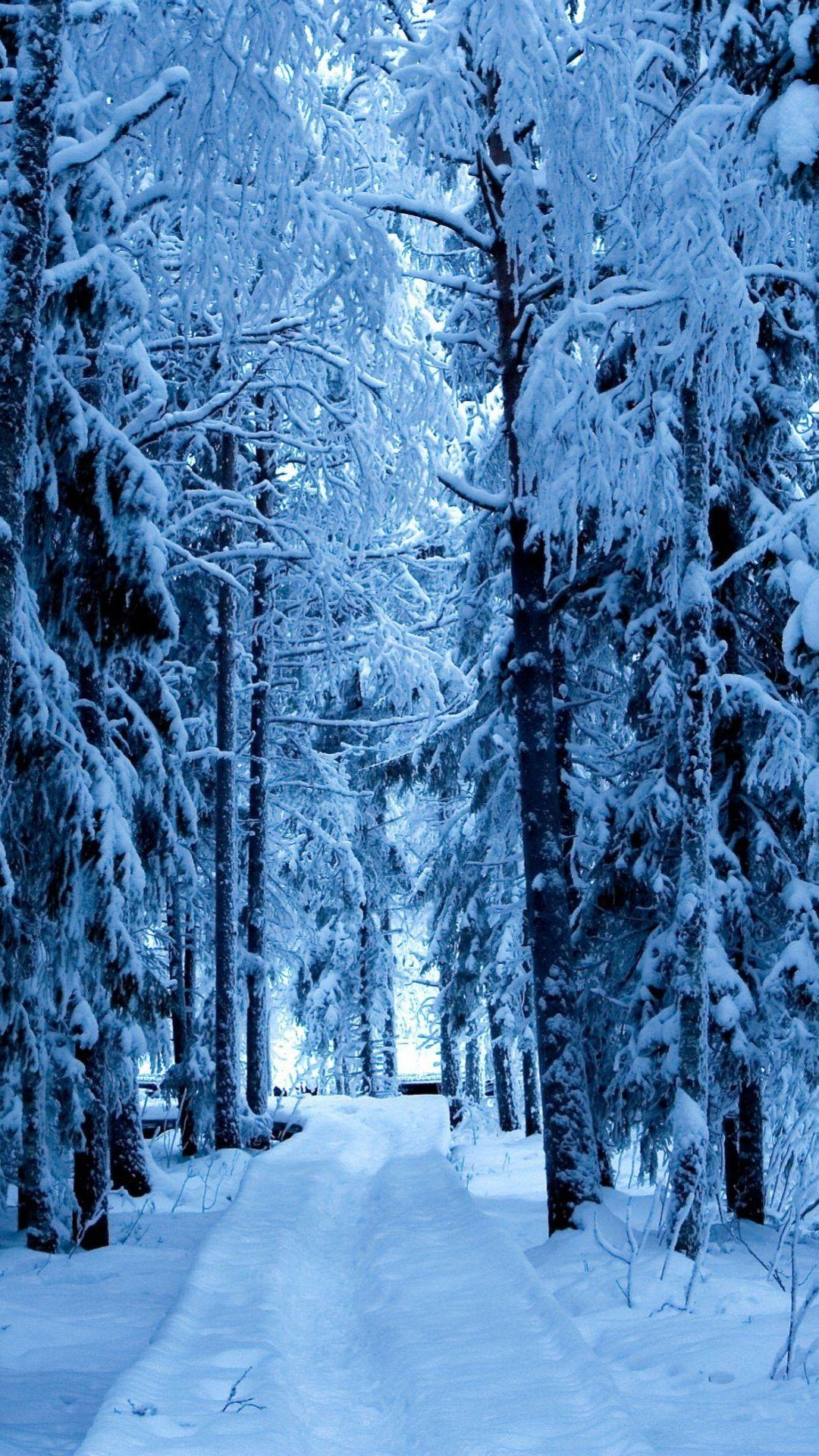 1080x1920 Snow Forest Blue Ice | Android Wallpapers | Snowfall wallpaper, Winter wonderland wallpaper, Christmas wallpaper backgrounds