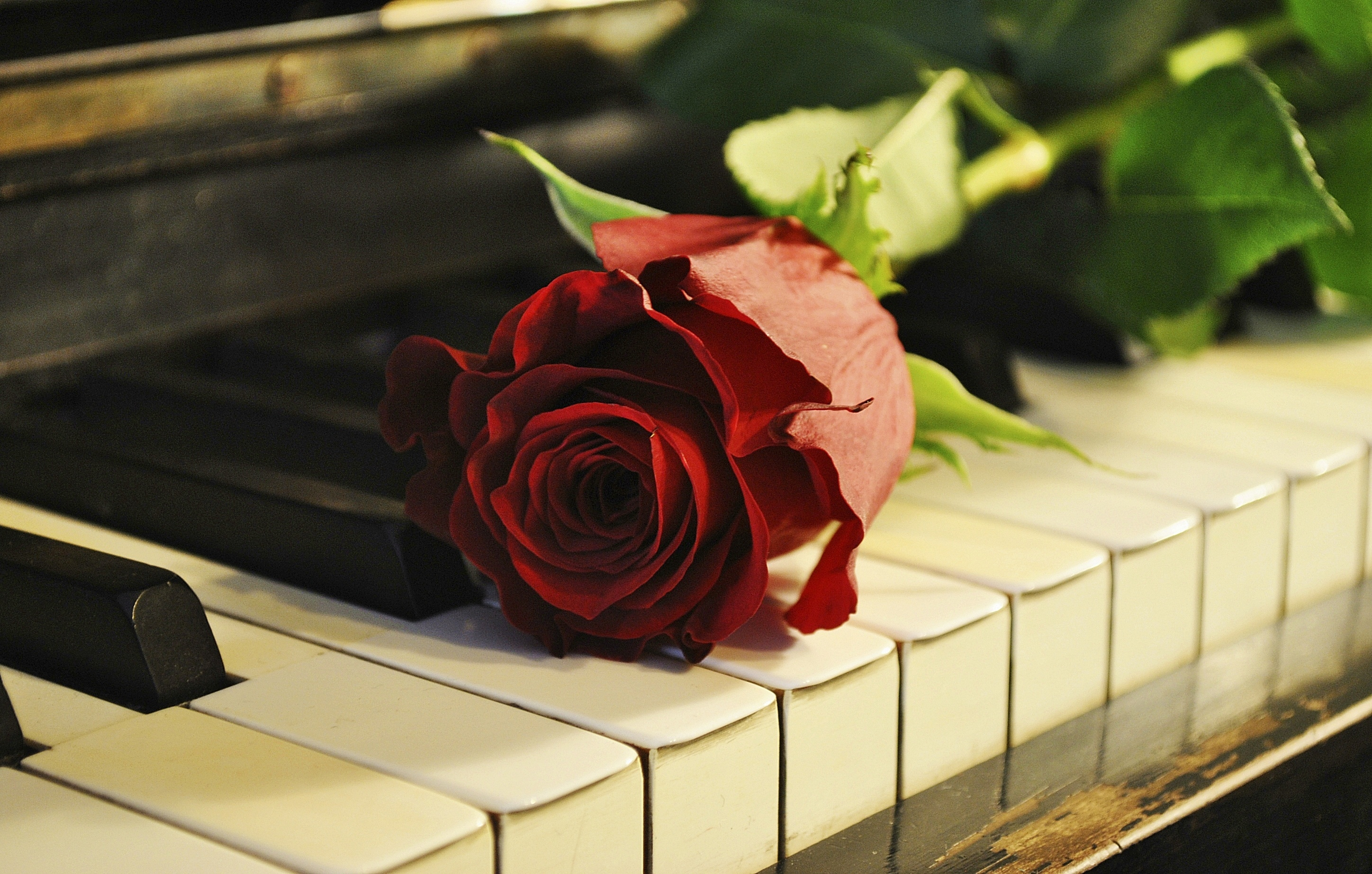 2896x1844 90+ Piano HD Wallpapers and Backgrounds