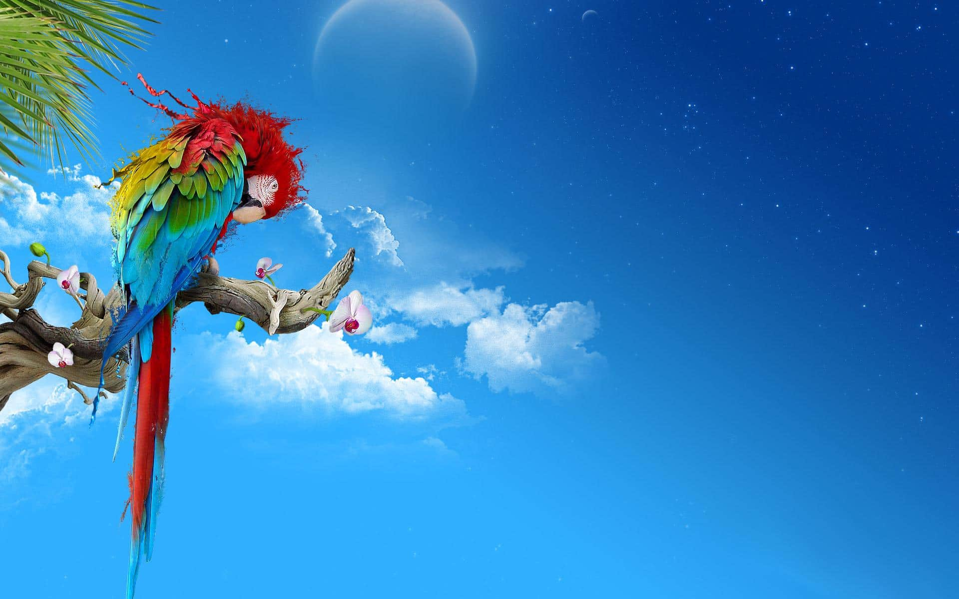1920x1200 Parrot Security OS Wallpapers Grepitout