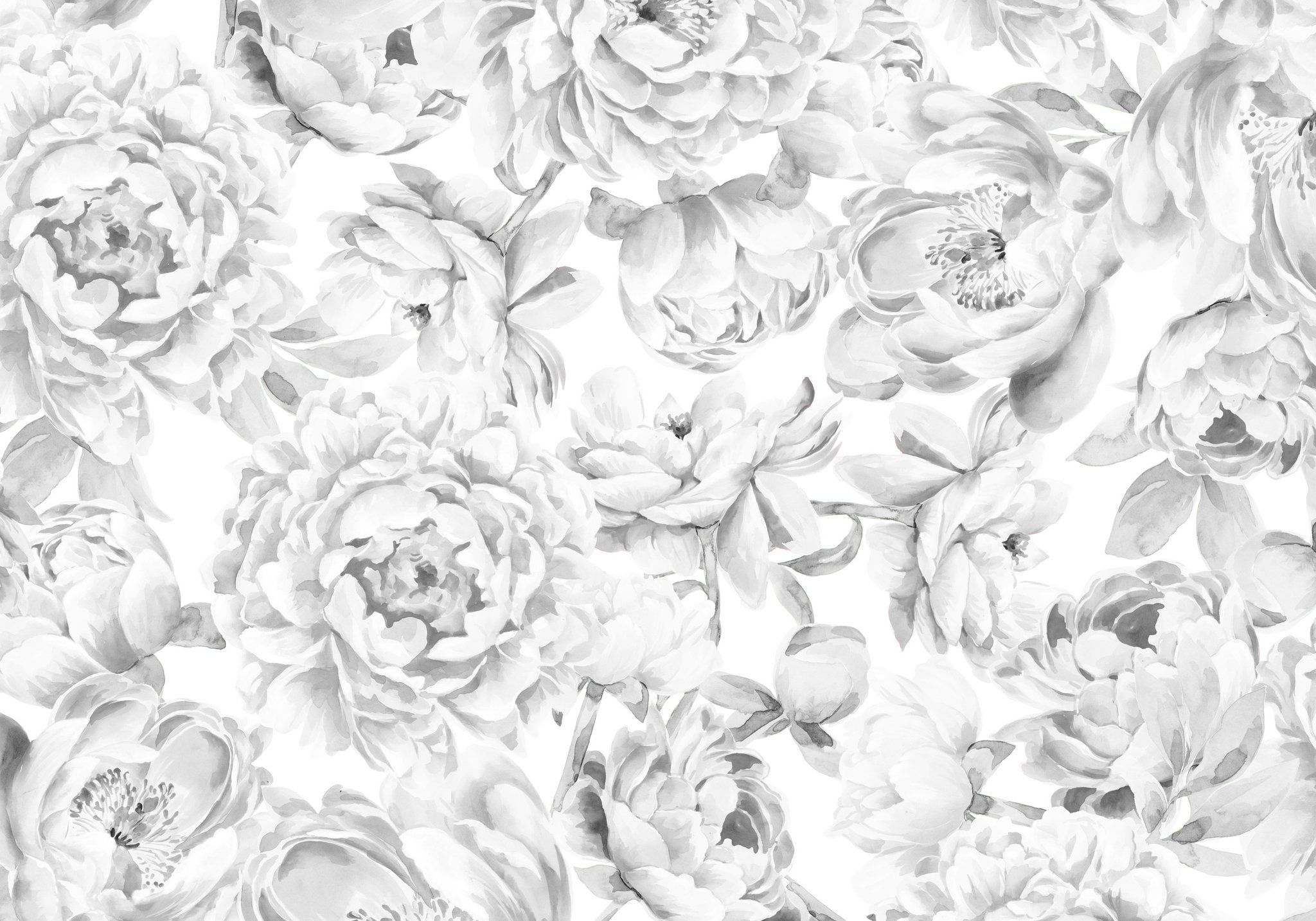 2048x1434 Black and White Peony Wallpapers Top Free Black and White Peony Backgrounds